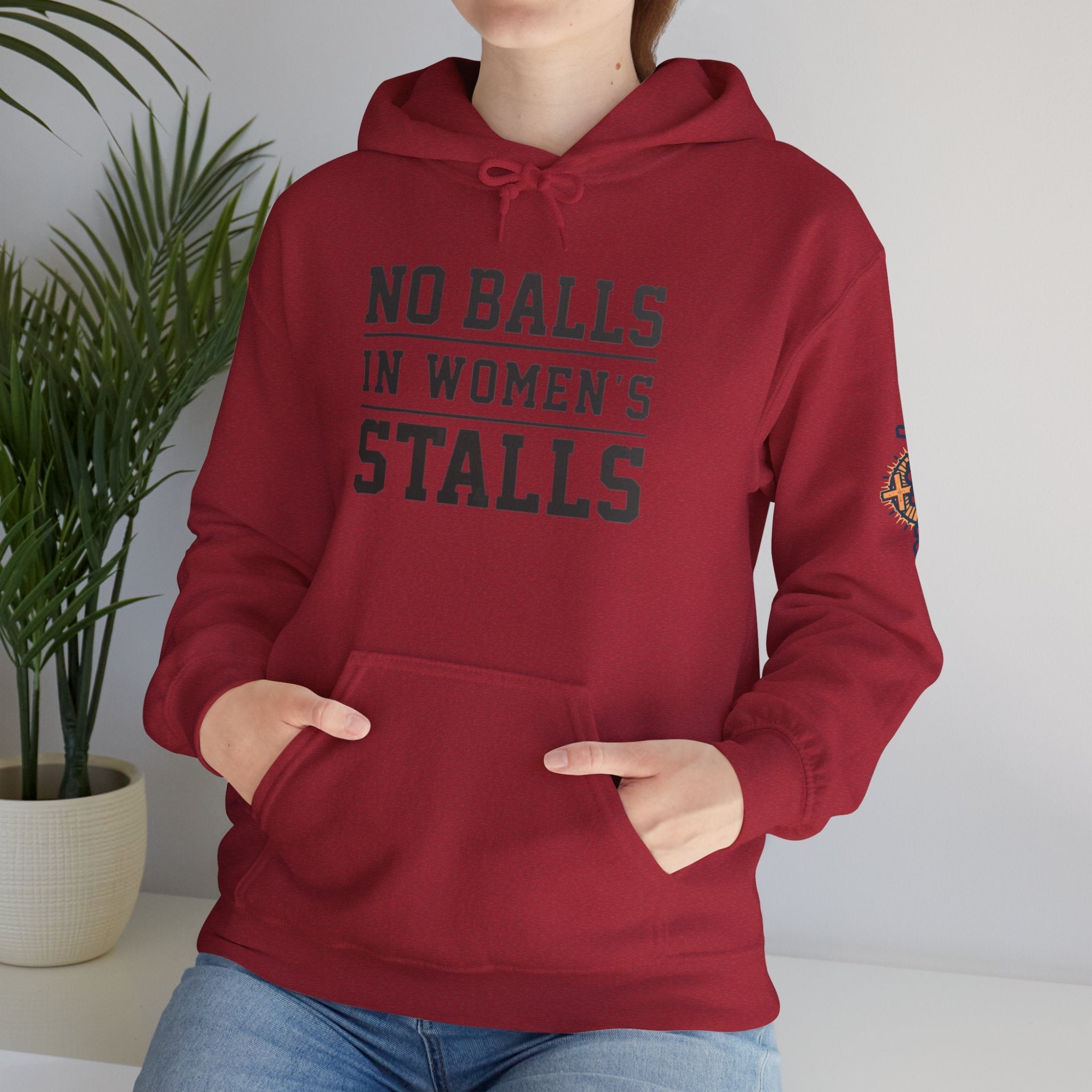 "No Balls in Women's Stalls" Statement Hoodie — Protest Sweatshirt Printify