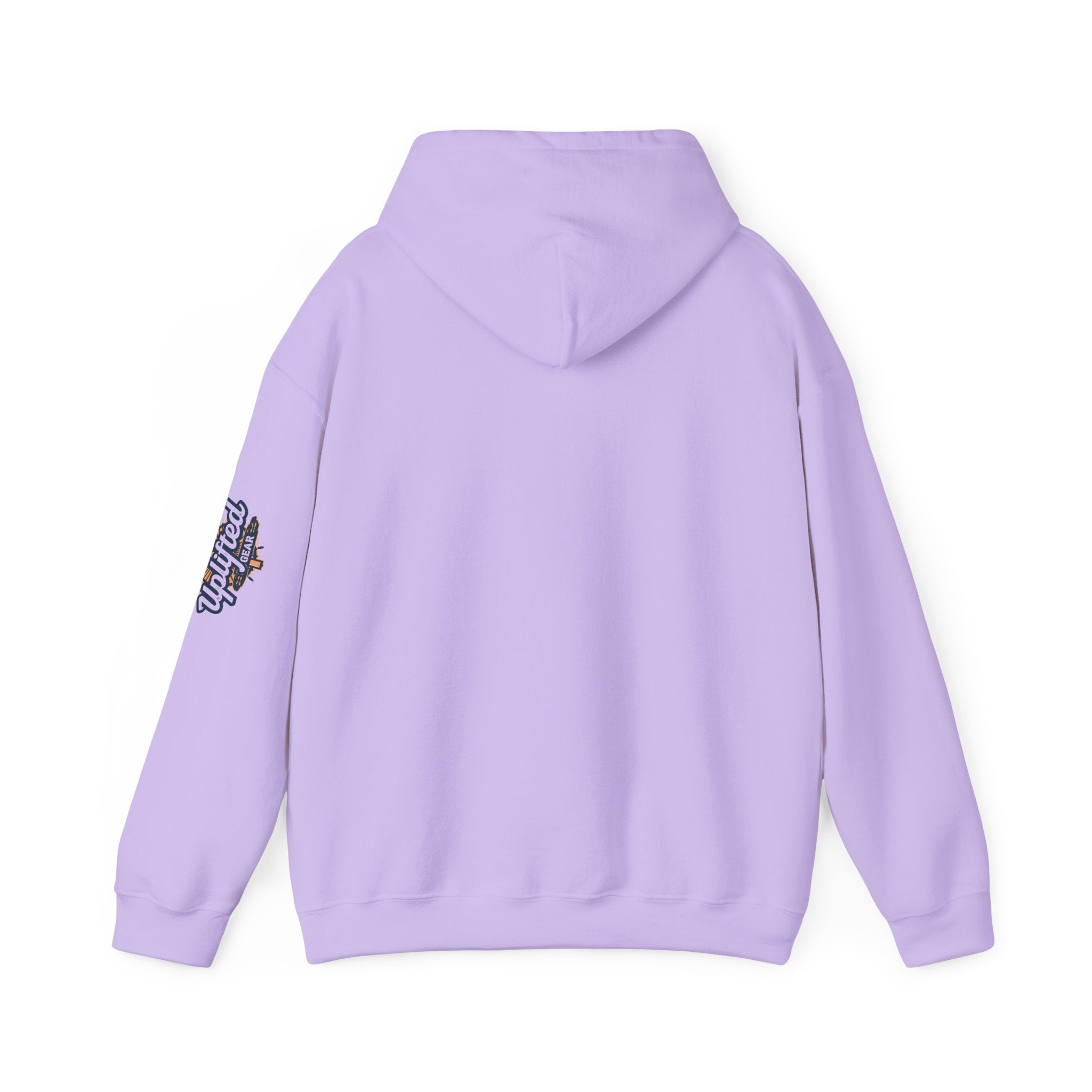 "No Balls in Women's Stalls" Statement Hoodie — Protest Sweatshirt Printify