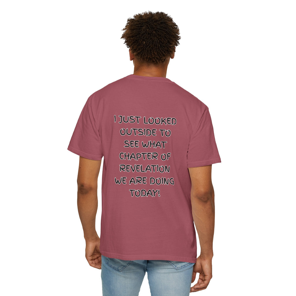 What Chapter of Revelation T-shirt – I Looked Outside My Window Christian T-shirt for End Times Humor & Faith Printify