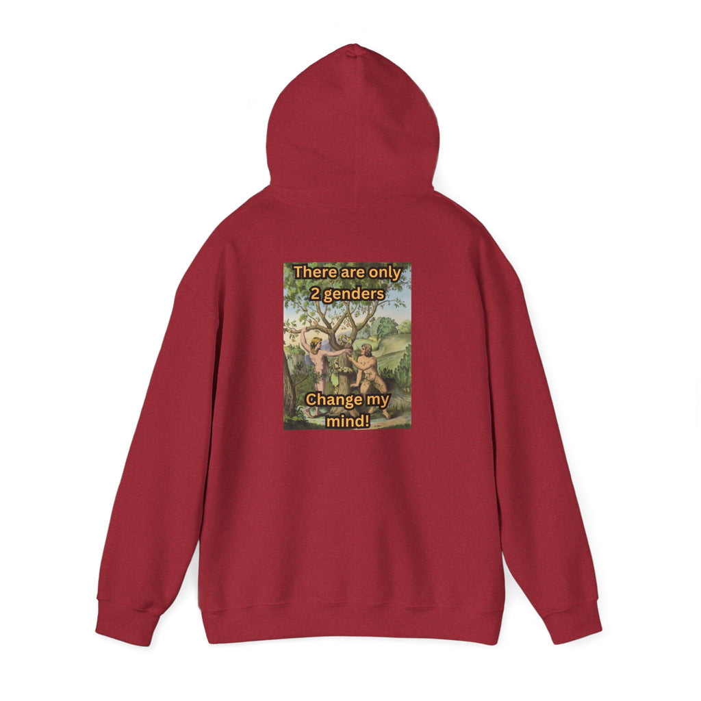 There Are Only 2 Genders Hoodie – Adam & Eve Cross Christian Hoodie for Bold Truth Printify