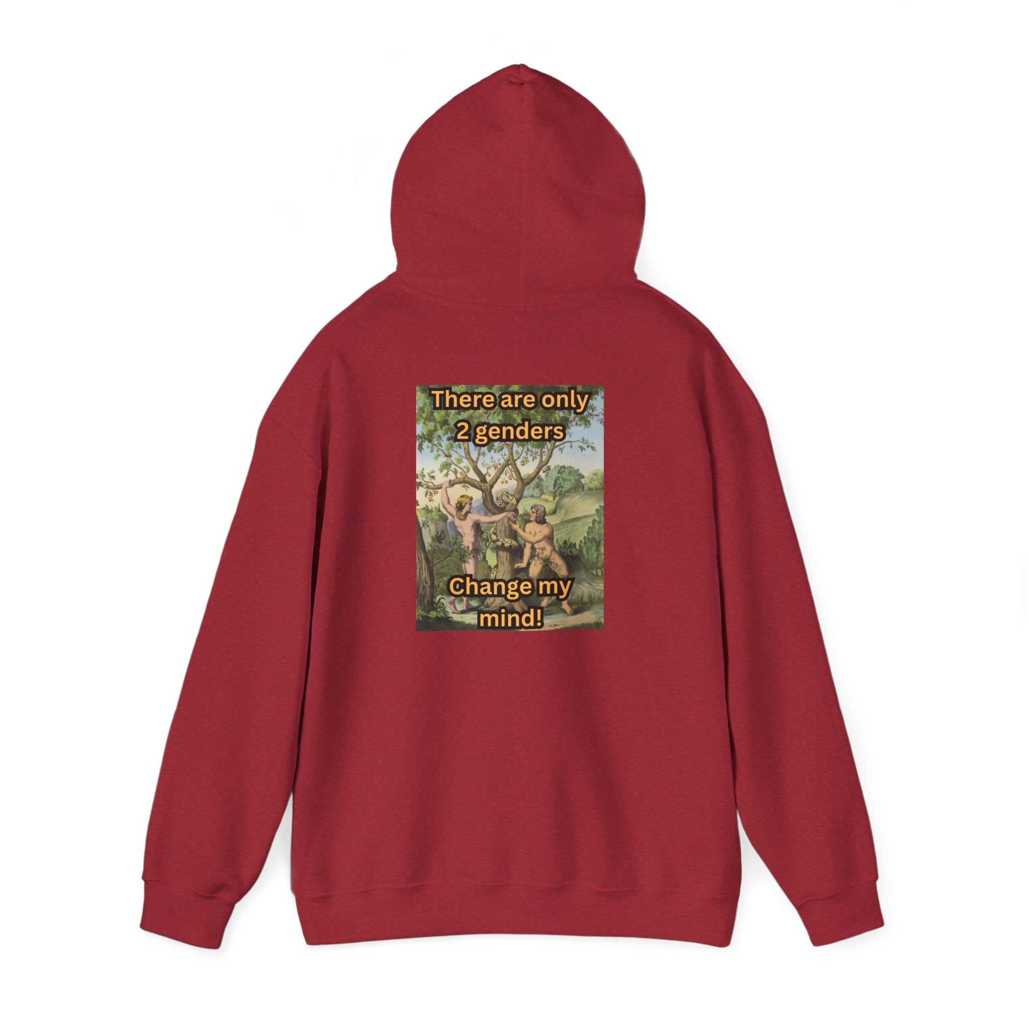 There Are Only 2 Genders Hoodie – Adam & Eve Cross Christian Hoodie for Bold Truth Printify