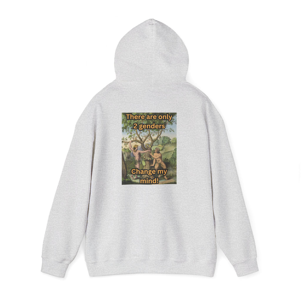 There Are Only 2 Genders Hoodie – Adam & Eve Cross Christian Hoodie for Bold Truth Printify