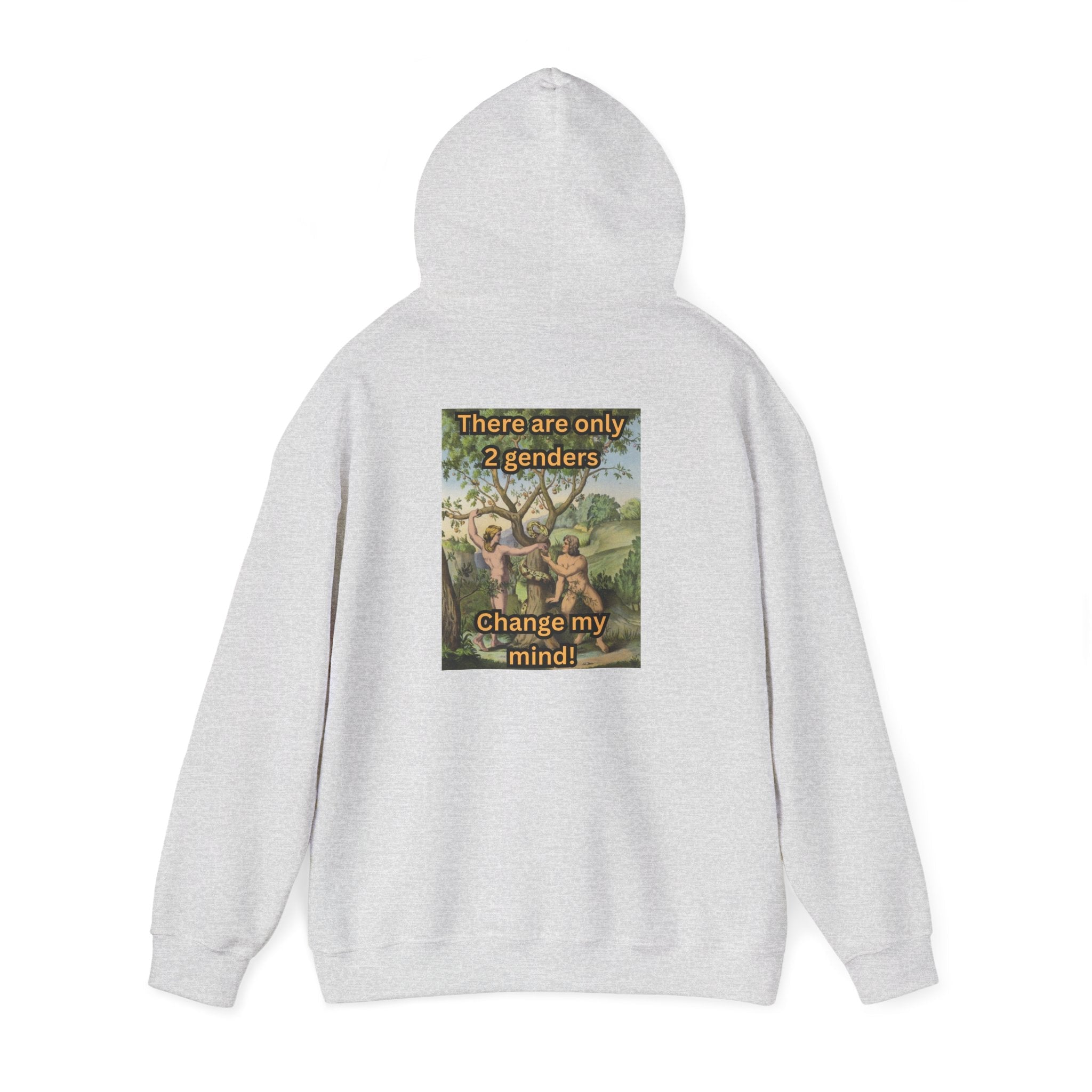 There Are Only 2 Genders Hoodie – Adam & Eve Cross Christian Hoodie for Bold Truth Printify