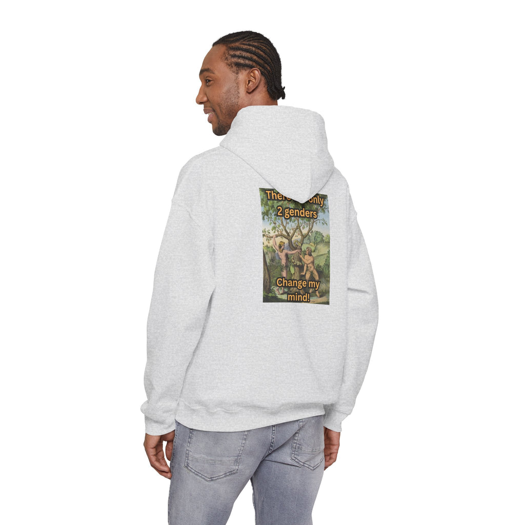 There Are Only 2 Genders Hoodie – Adam & Eve Cross Christian Hoodie for Bold Truth Printify