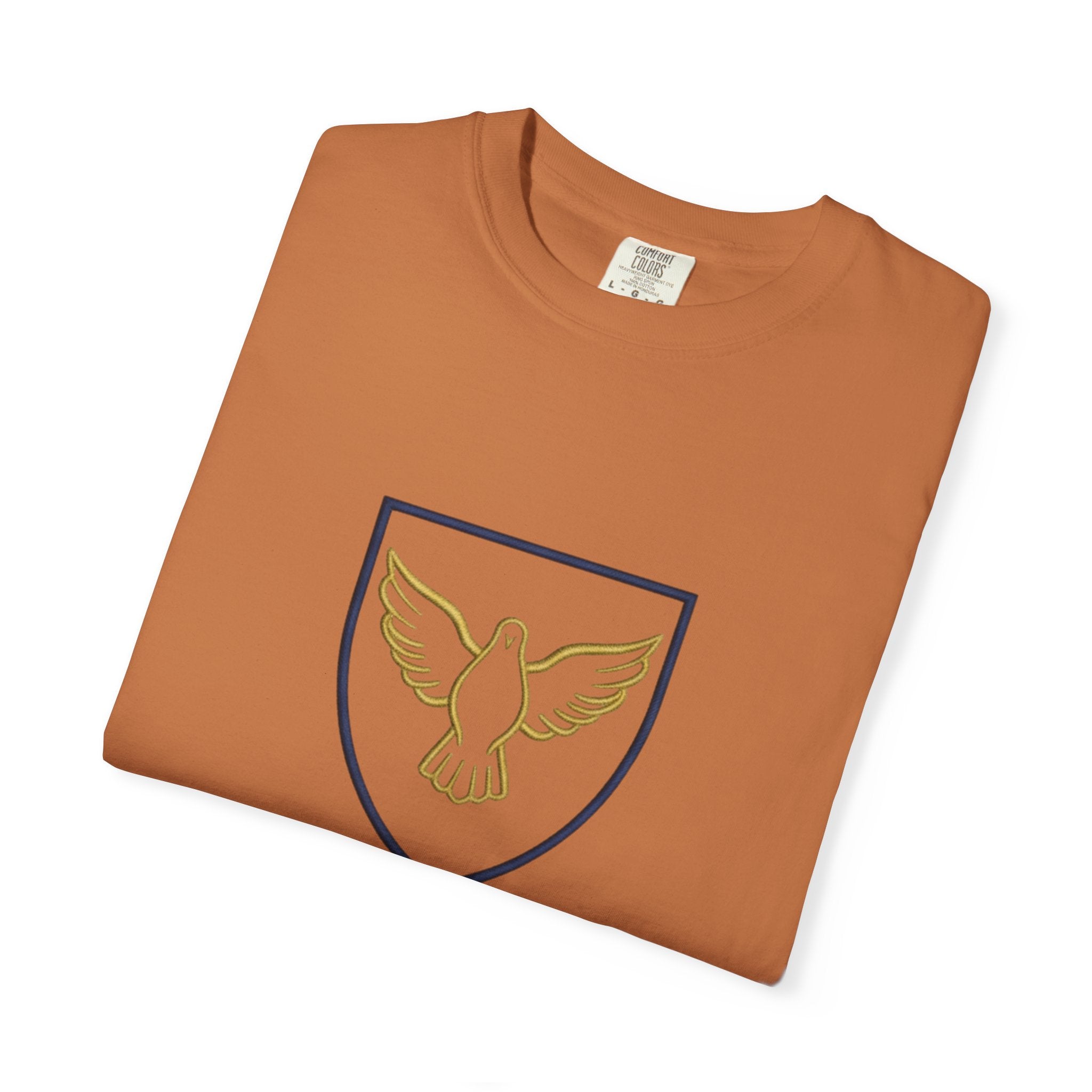 Ambassador for Christ T-Shirt – Established 33 AD Christian Tee for Bold Faith Printify