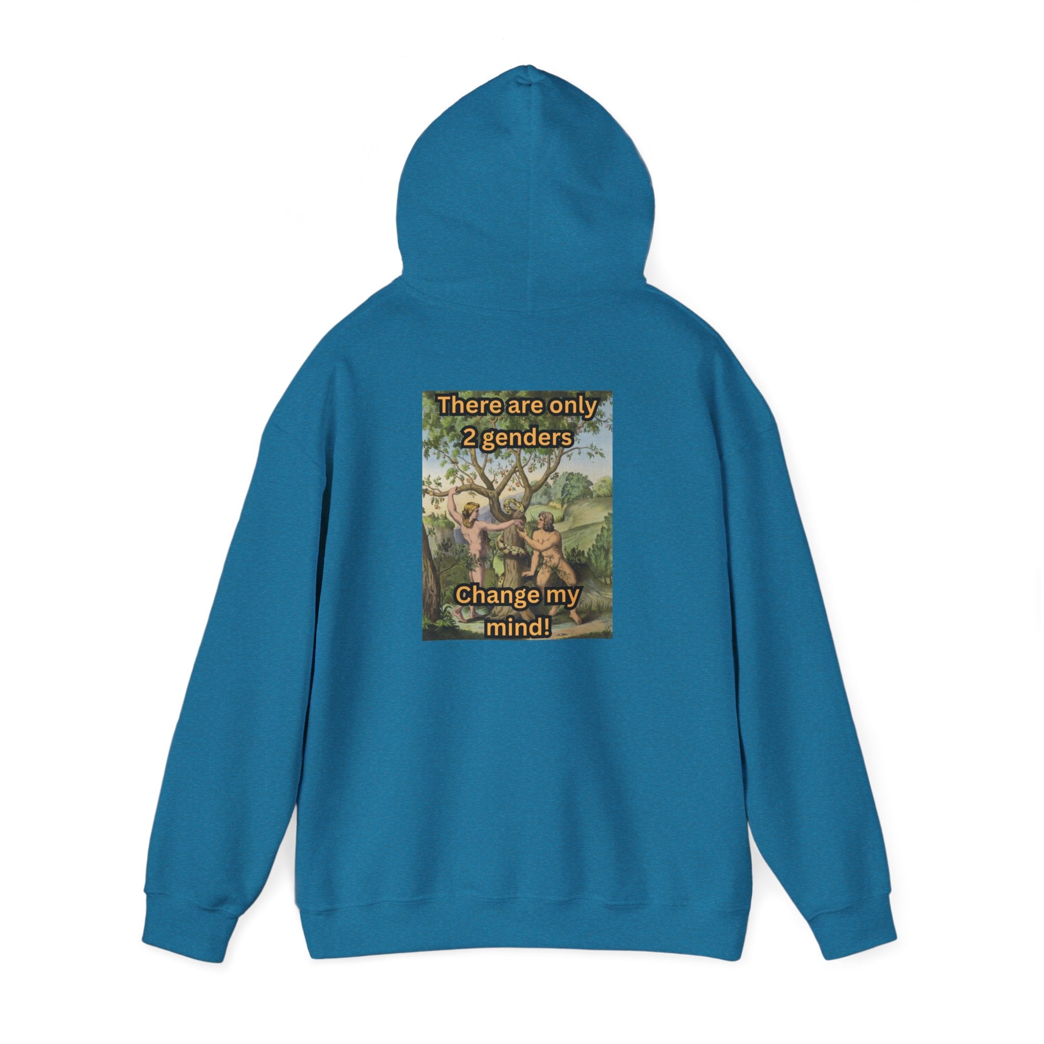 There Are Only 2 Genders Hoodie – Adam & Eve Cross Christian Hoodie for Bold Truth Printify