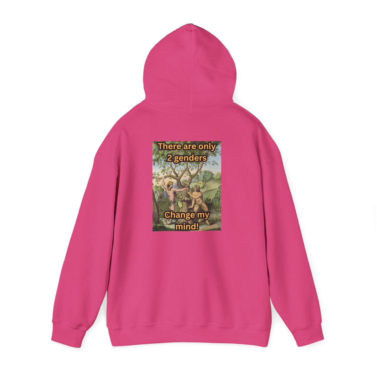 There Are Only 2 Genders Hoodie – Adam & Eve Cross Christian Hoodie for Bold Truth Printify