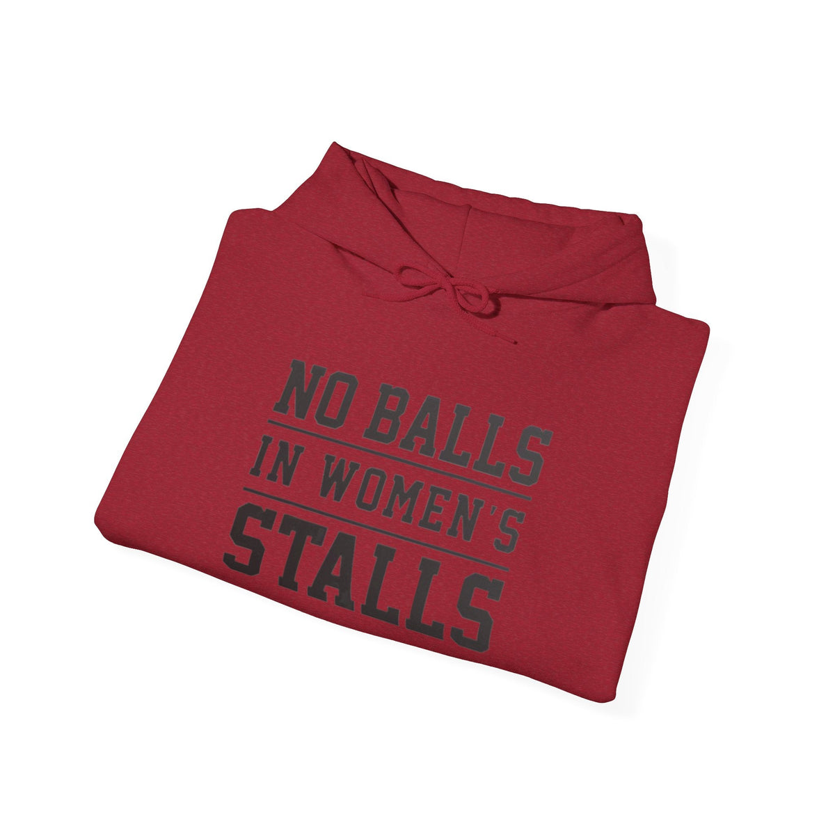 "No Balls in Women's Stalls" Statement Hoodie — Protest Sweatshirt Printify