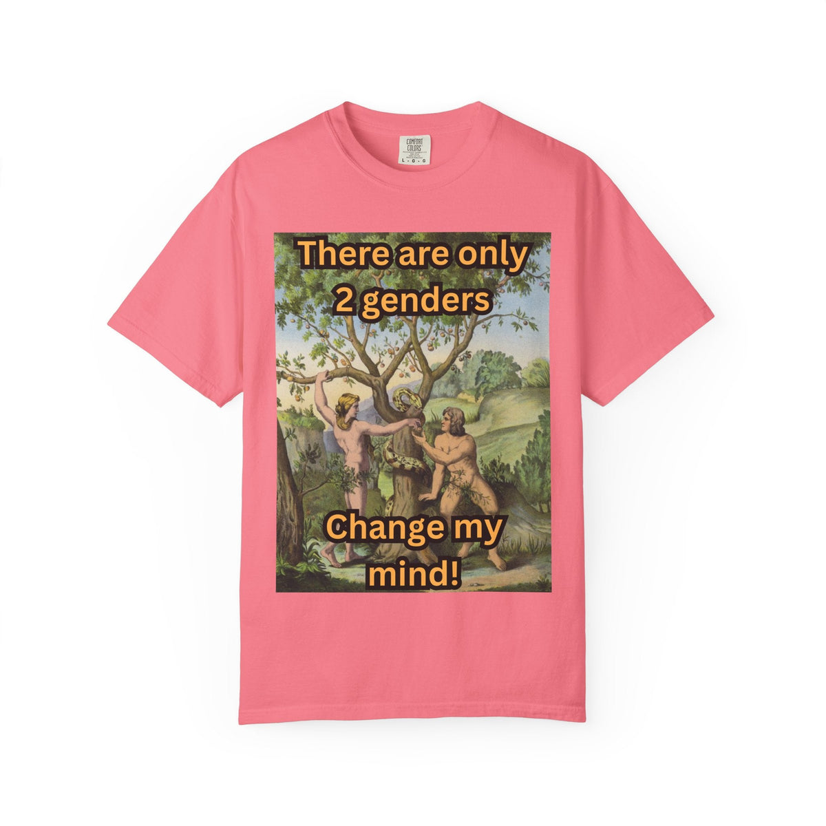 There Are Only 2 Genders T-Shirt – Adam & Eve Cross Christian Tee for Bold Faith Printify