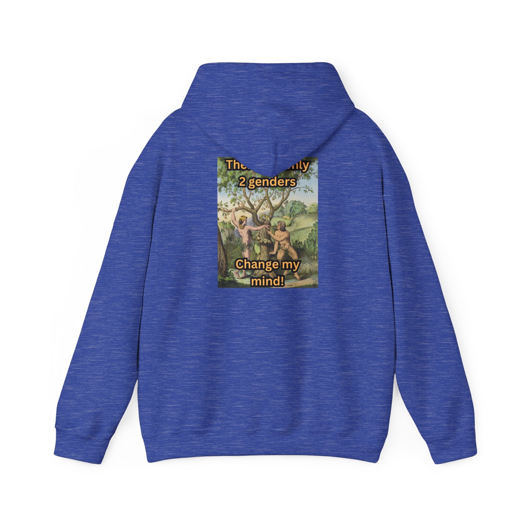 There Are Only 2 Genders Hoodie – Adam & Eve Cross Christian Hoodie for Bold Truth Printify