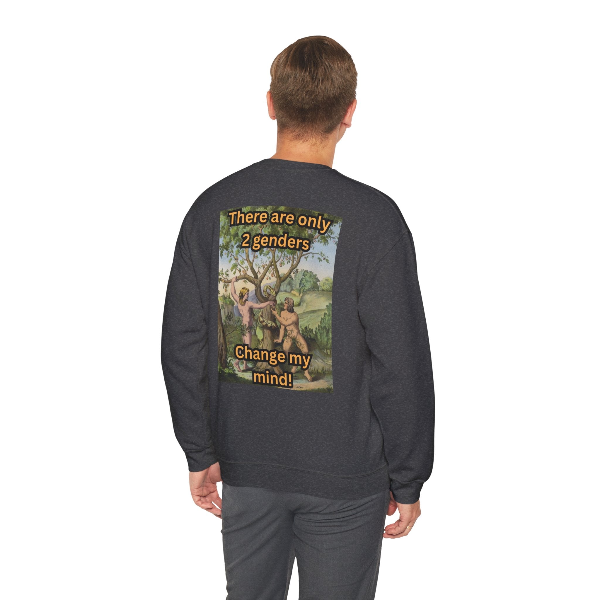 There Are Only 2 Genders Sweatshirt – Adam & Eve Cross Christian Hoodie for Bold Truth Printify