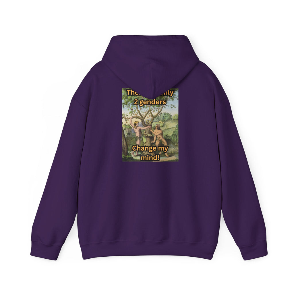 There Are Only 2 Genders Hoodie – Adam & Eve Cross Christian Hoodie for Bold Truth Printify