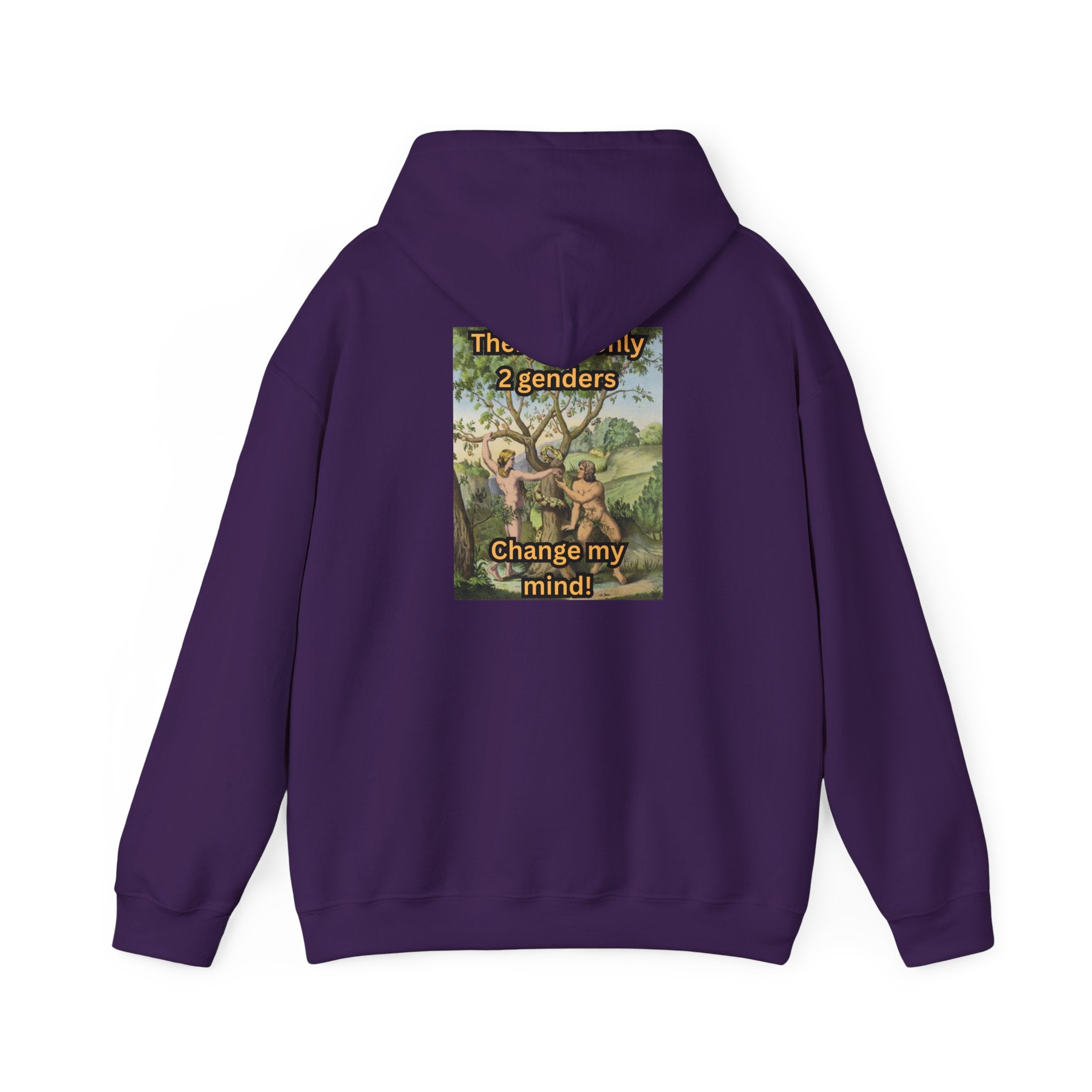 There Are Only 2 Genders Hoodie – Adam & Eve Cross Christian Hoodie for Bold Truth Printify