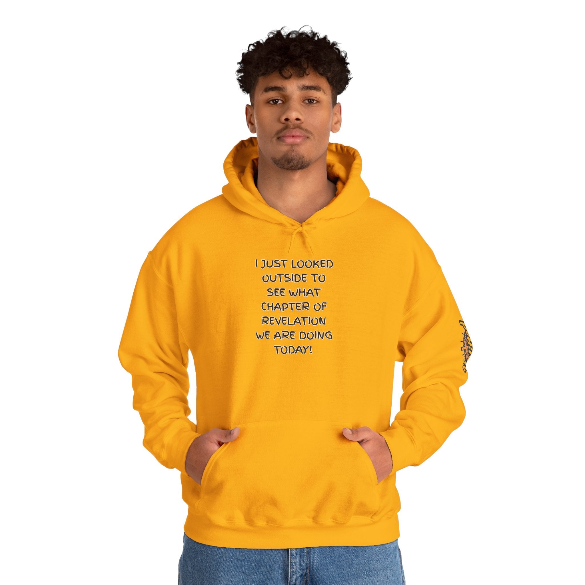 What Chapter of Revelation Hoodie – I Looked Outside My Window Christian Sweatshirt for End Times Humor & Faith Printify