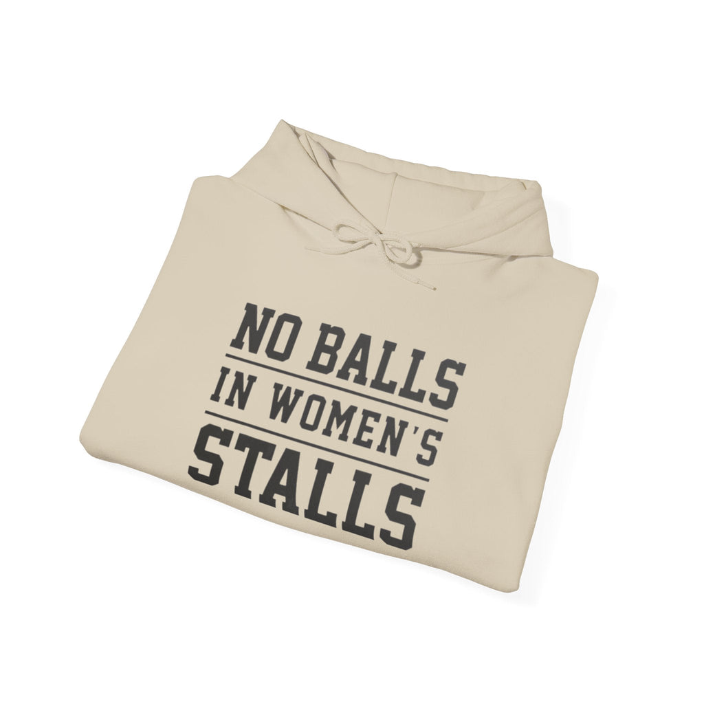 "No Balls in Women's Stalls" Statement Hoodie — Protest Sweatshirt Printify