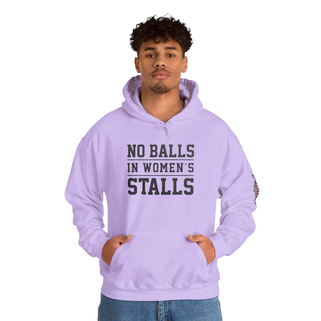 "No Balls in Women's Stalls" Statement Hoodie — Protest Sweatshirt Printify