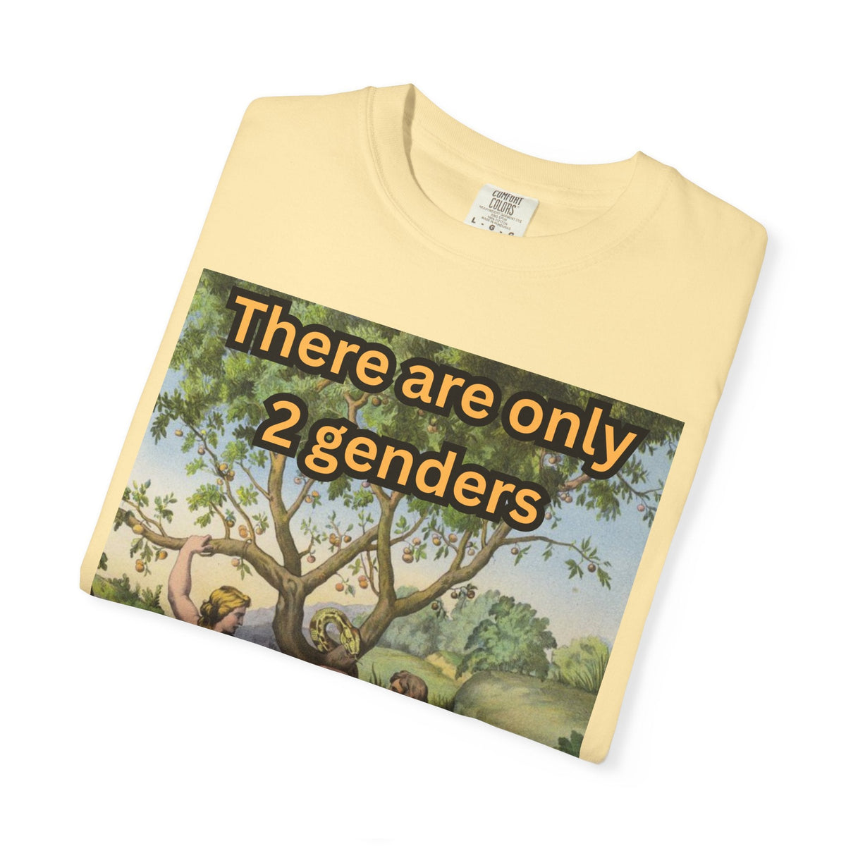 There Are Only 2 Genders T-Shirt – Adam & Eve Cross Christian Tee for Bold Faith Printify