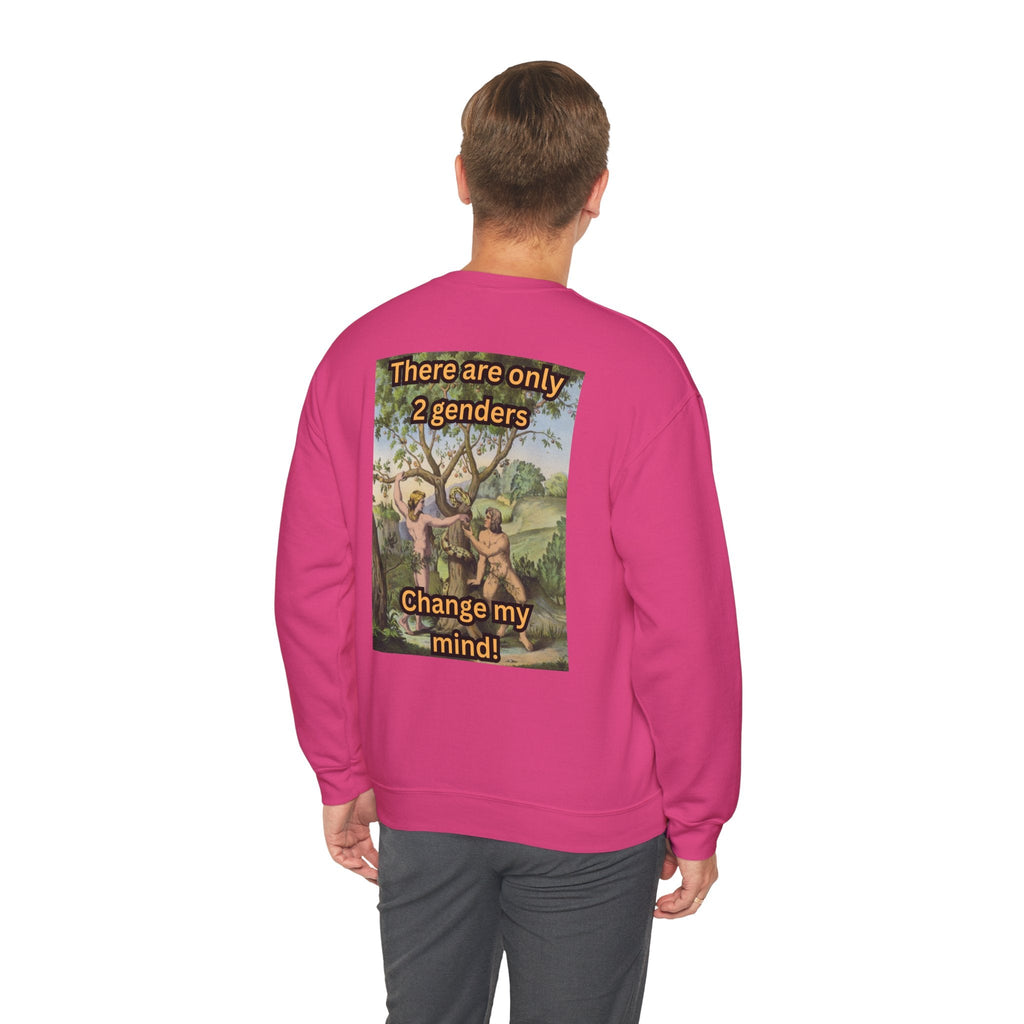 There Are Only 2 Genders Sweatshirt – Adam & Eve Cross Christian Hoodie for Bold Truth Printify