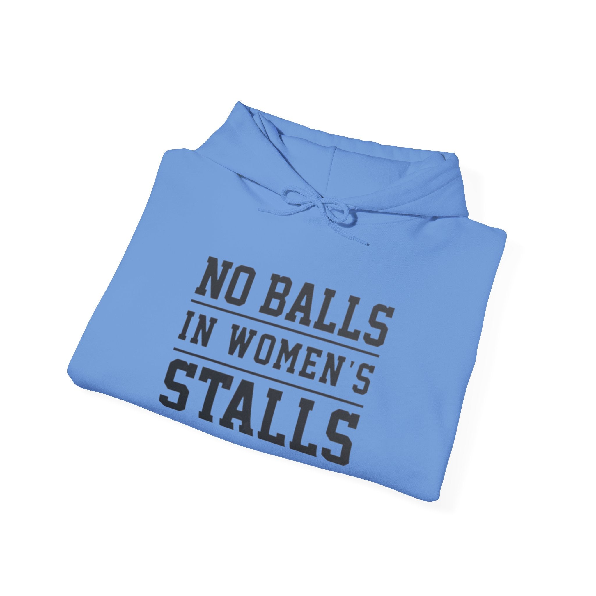 "No Balls in Women's Stalls" Statement Hoodie — Protest Sweatshirt Printify