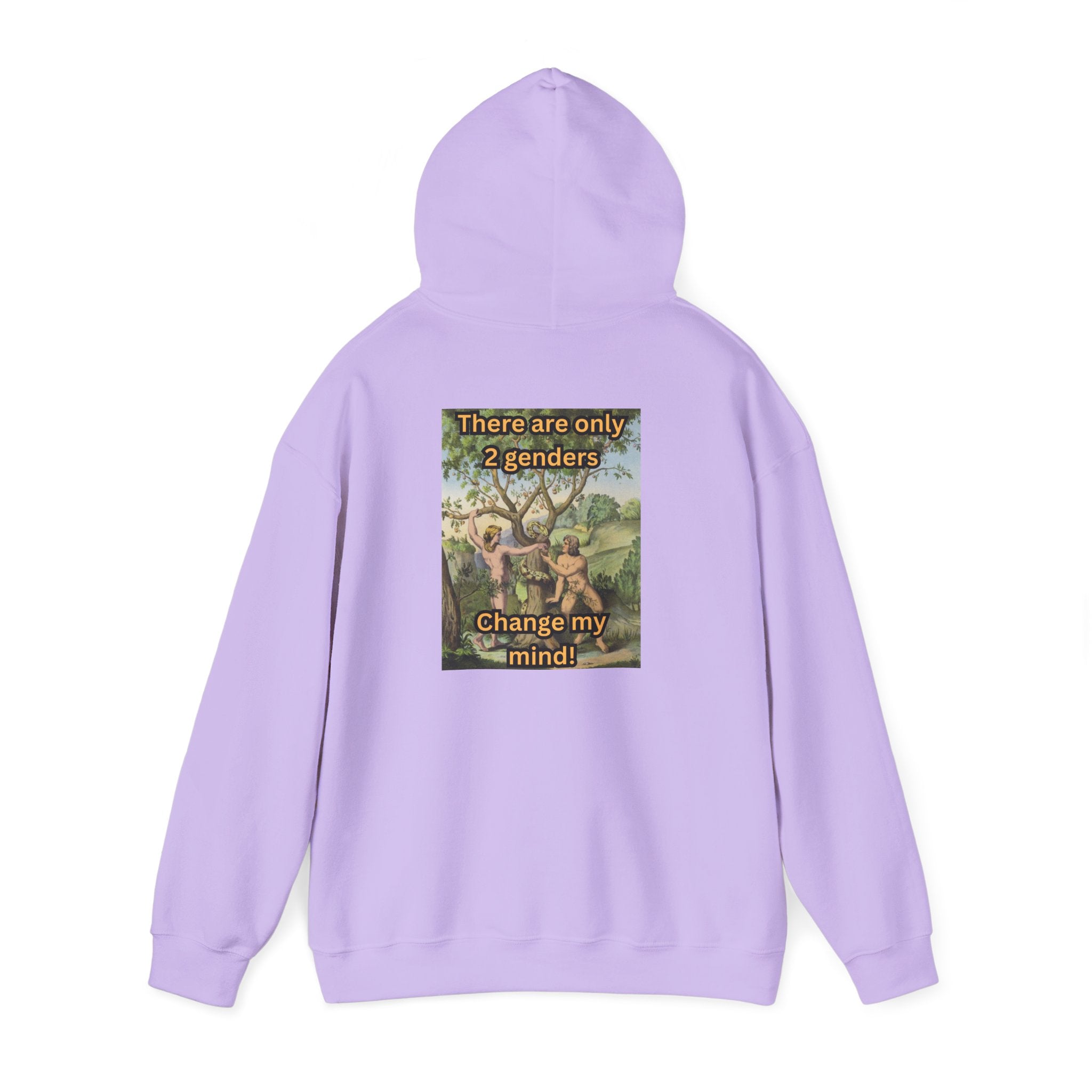 There Are Only 2 Genders Hoodie – Adam & Eve Cross Christian Hoodie for Bold Truth Printify