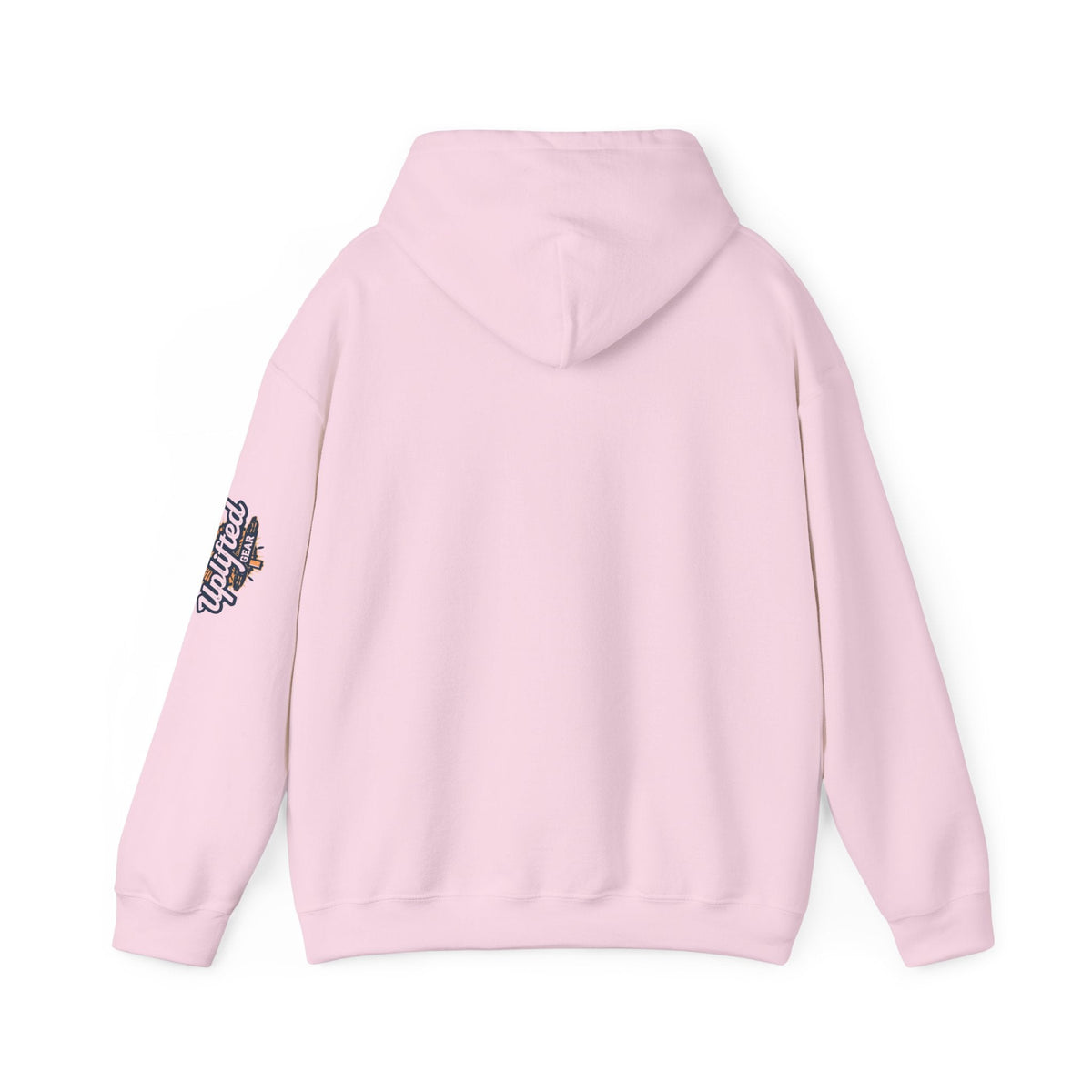 "No Balls in Women's Stalls" Statement Hoodie — Protest Sweatshirt Printify