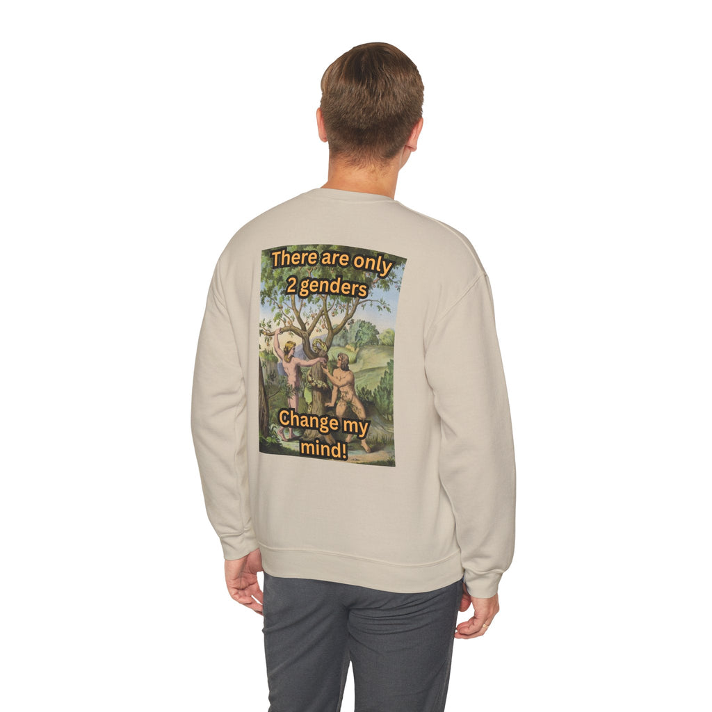 There Are Only 2 Genders Sweatshirt – Adam & Eve Cross Christian Hoodie for Bold Truth Printify
