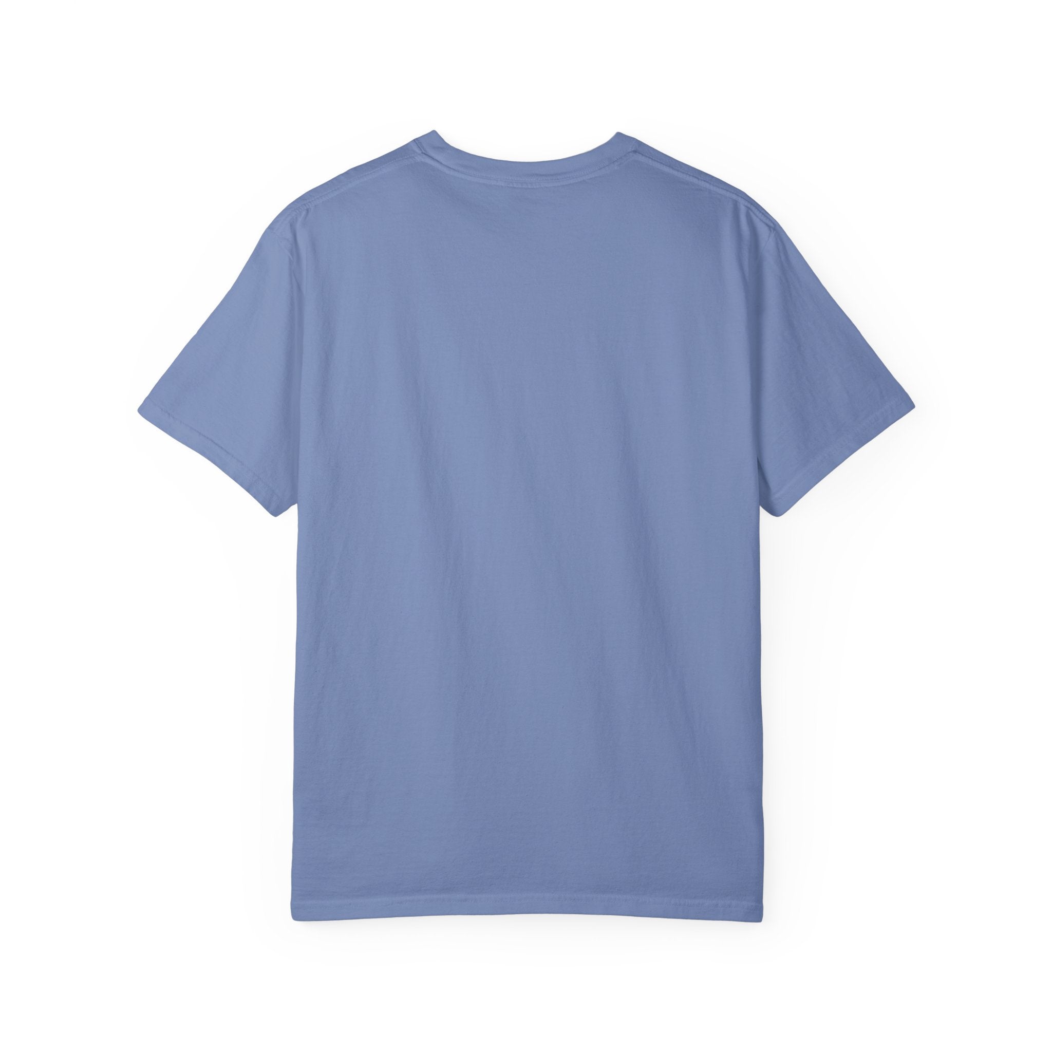 Ambassador for Christ T-Shirt – Established 33 AD Christian Tee for Bold Faith Printify