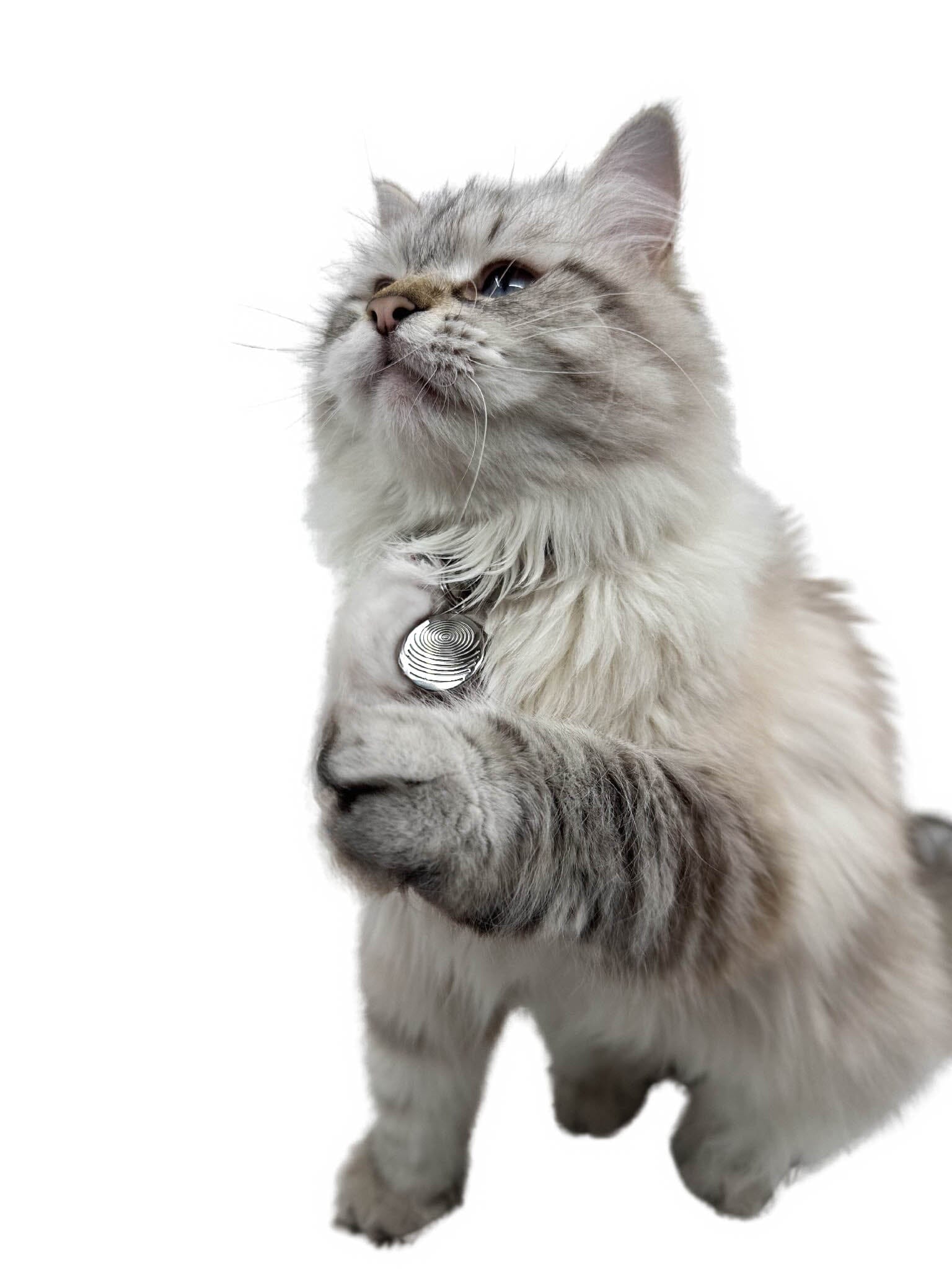 Pet EMF Defense Pendant Your Emf Shield