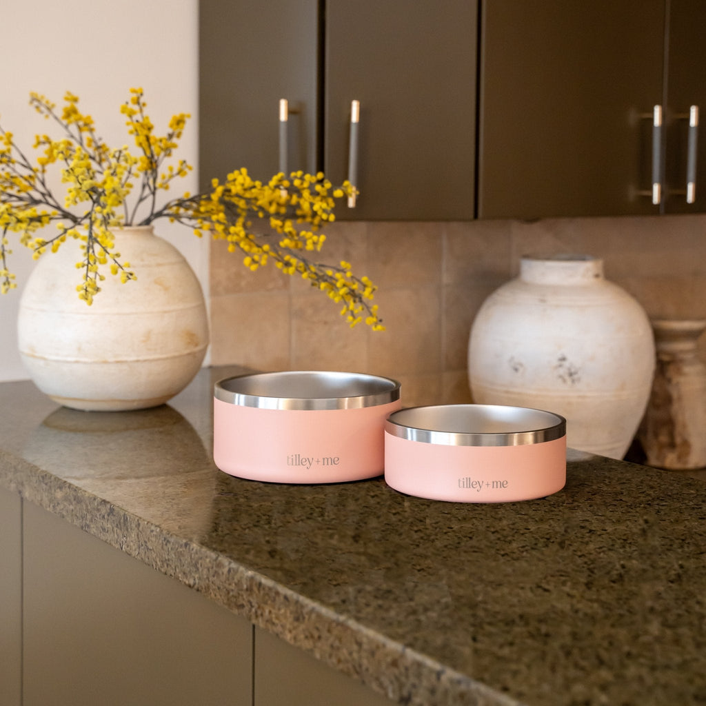 Stainless Steel Pet Bowl – Non-Slip, Durable & Dishwasher Safe | 32oz and 64oz Tilley + Me