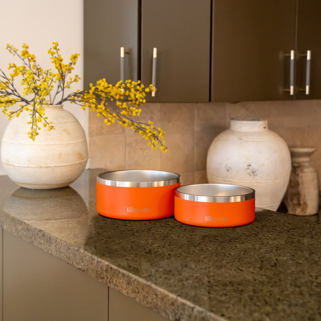 Stainless Steel Pet Bowl – Non-Slip, Durable & Dishwasher Safe | 32oz and 64oz Tilley + Me
