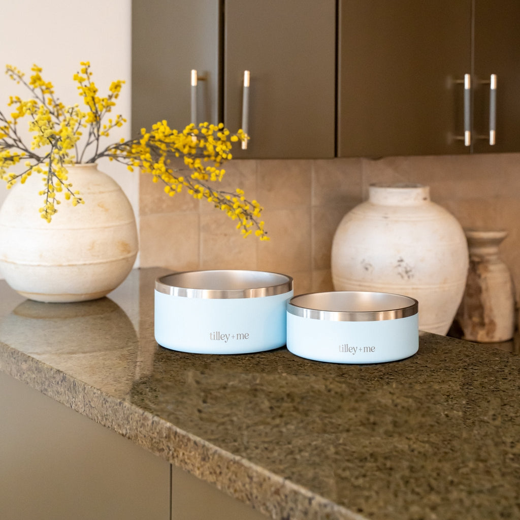 Stainless Steel Pet Bowl – Non-Slip, Durable & Dishwasher Safe | 32oz and 64oz Tilley + Me