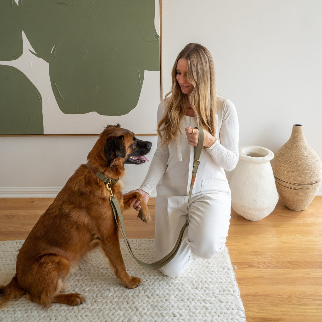 Hemp Cotton Dog Collar - Durable, Sustainable, Adjustable, Lightweight & Soft Tilley + Me