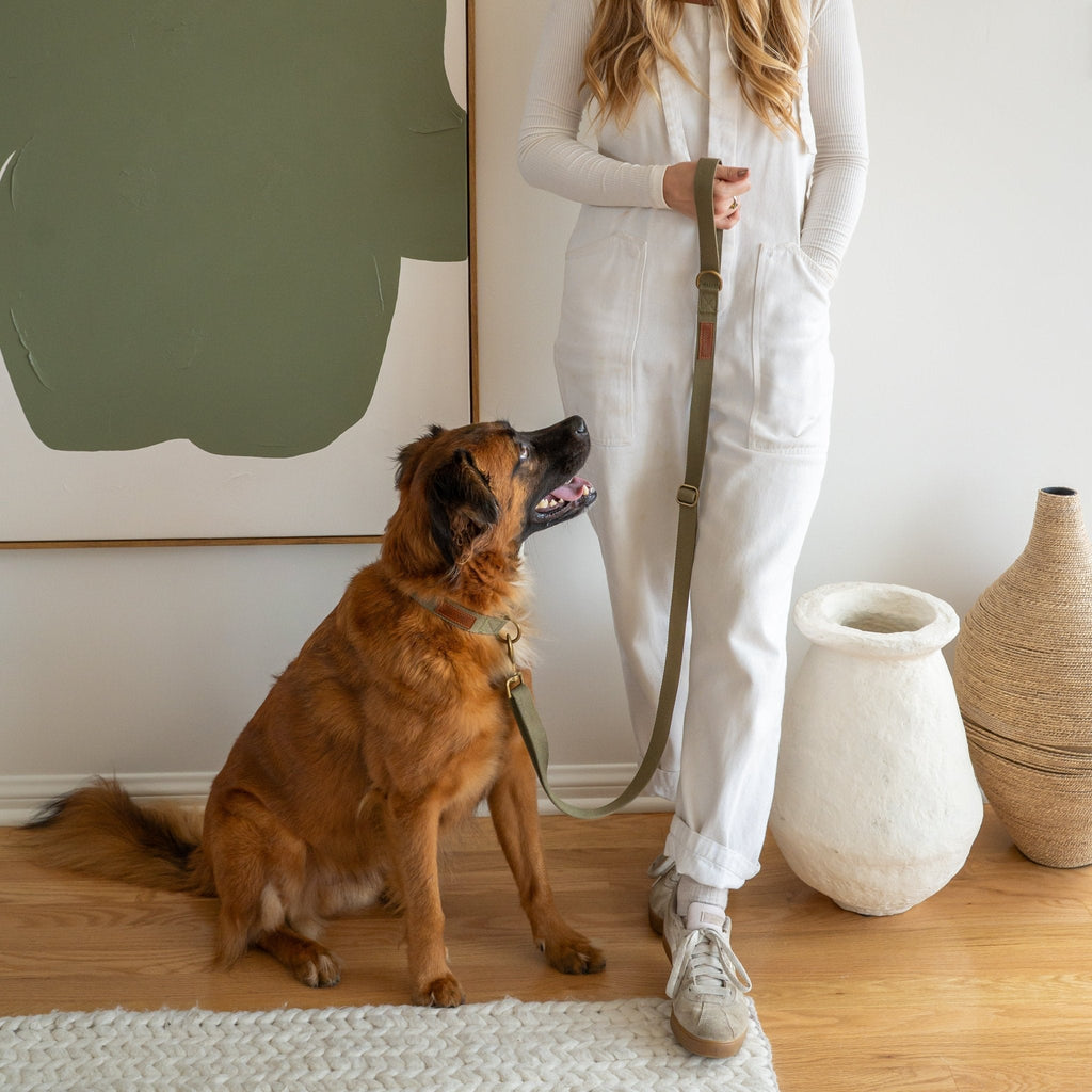 Hemp Cotton Dog Leash - Durable, Sustainable, Adjustable, Lightweight & Soft Tilley + Me
