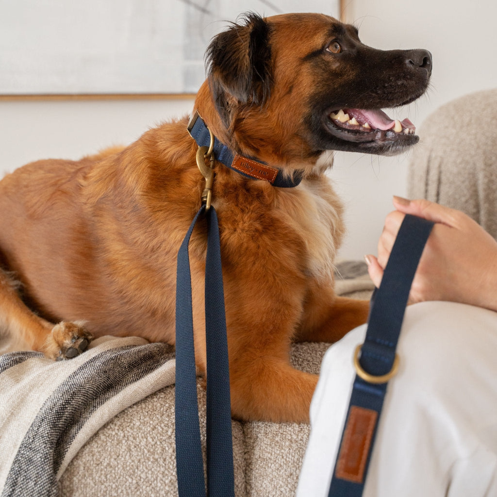 Hemp Cotton Dog Leash - Durable, Sustainable, Adjustable, Lightweight & Soft Tilley + Me
