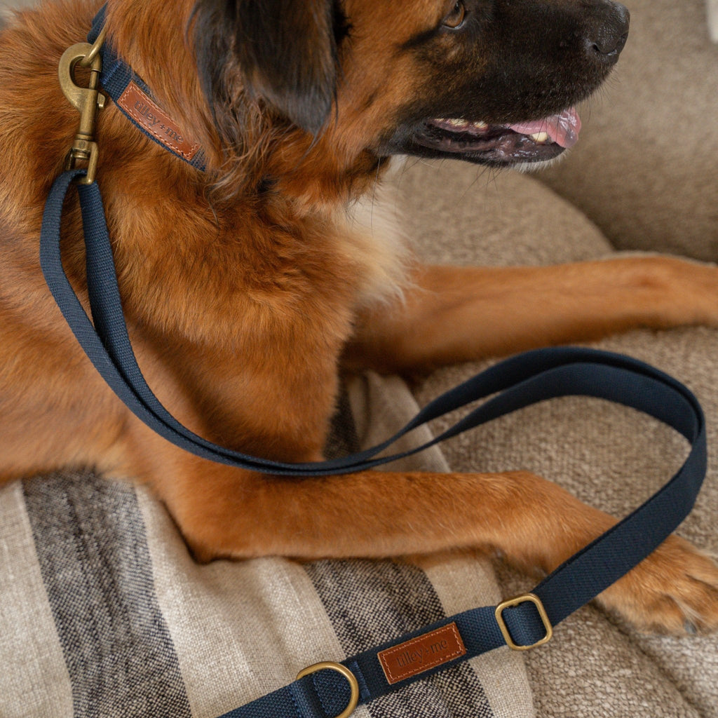 Hemp Cotton Dog Leash - Durable, Sustainable, Adjustable, Lightweight & Soft Tilley + Me