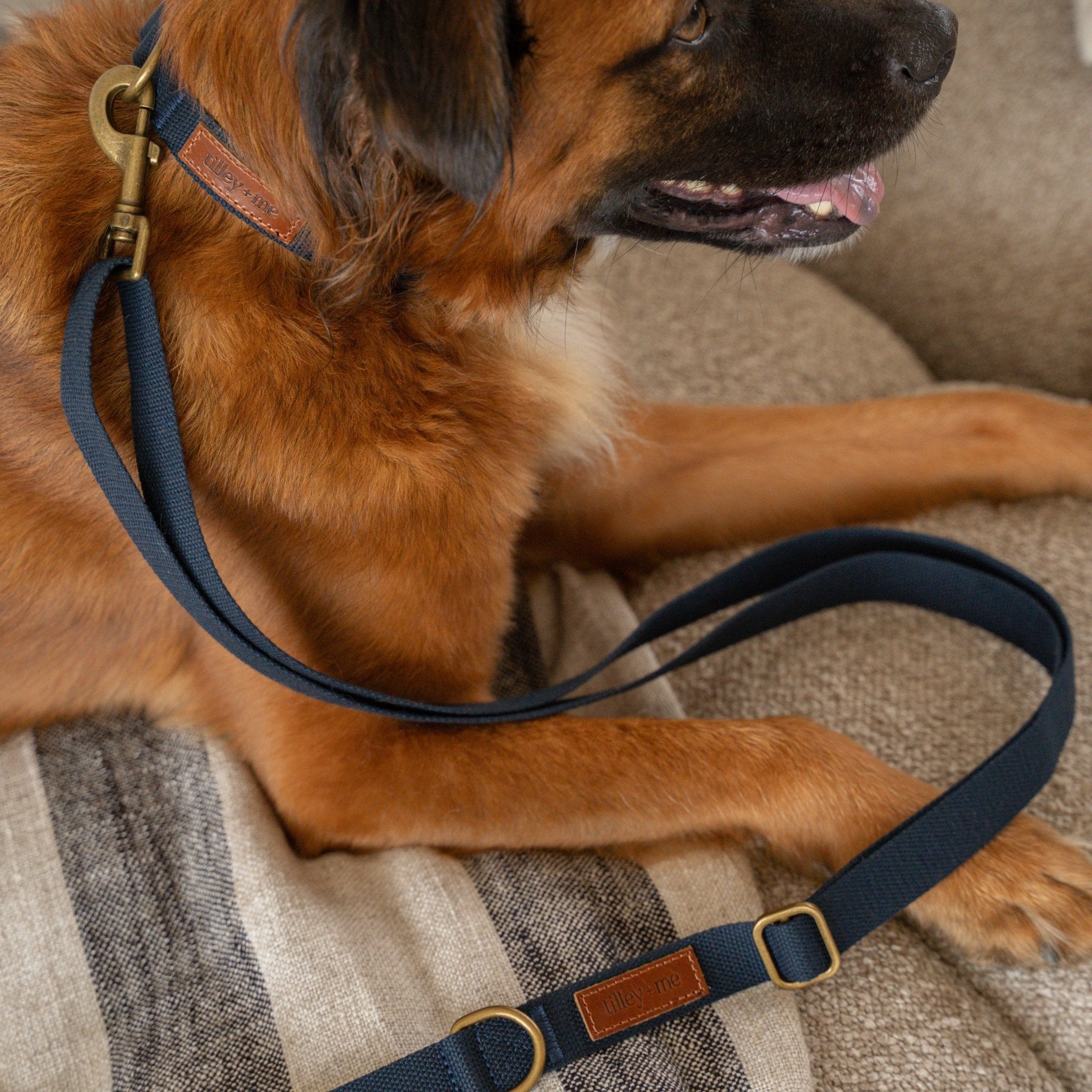 Hemp Cotton Dog Leash - Durable, Sustainable, Adjustable, Lightweight & Soft Tilley + Me