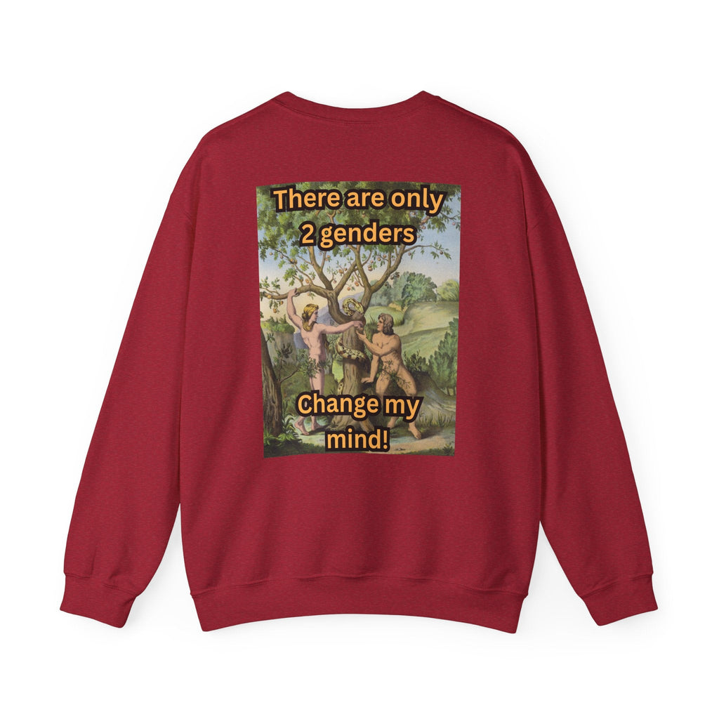 There Are Only 2 Genders Sweatshirt – Adam & Eve Cross Christian Hoodie for Bold Truth Printify