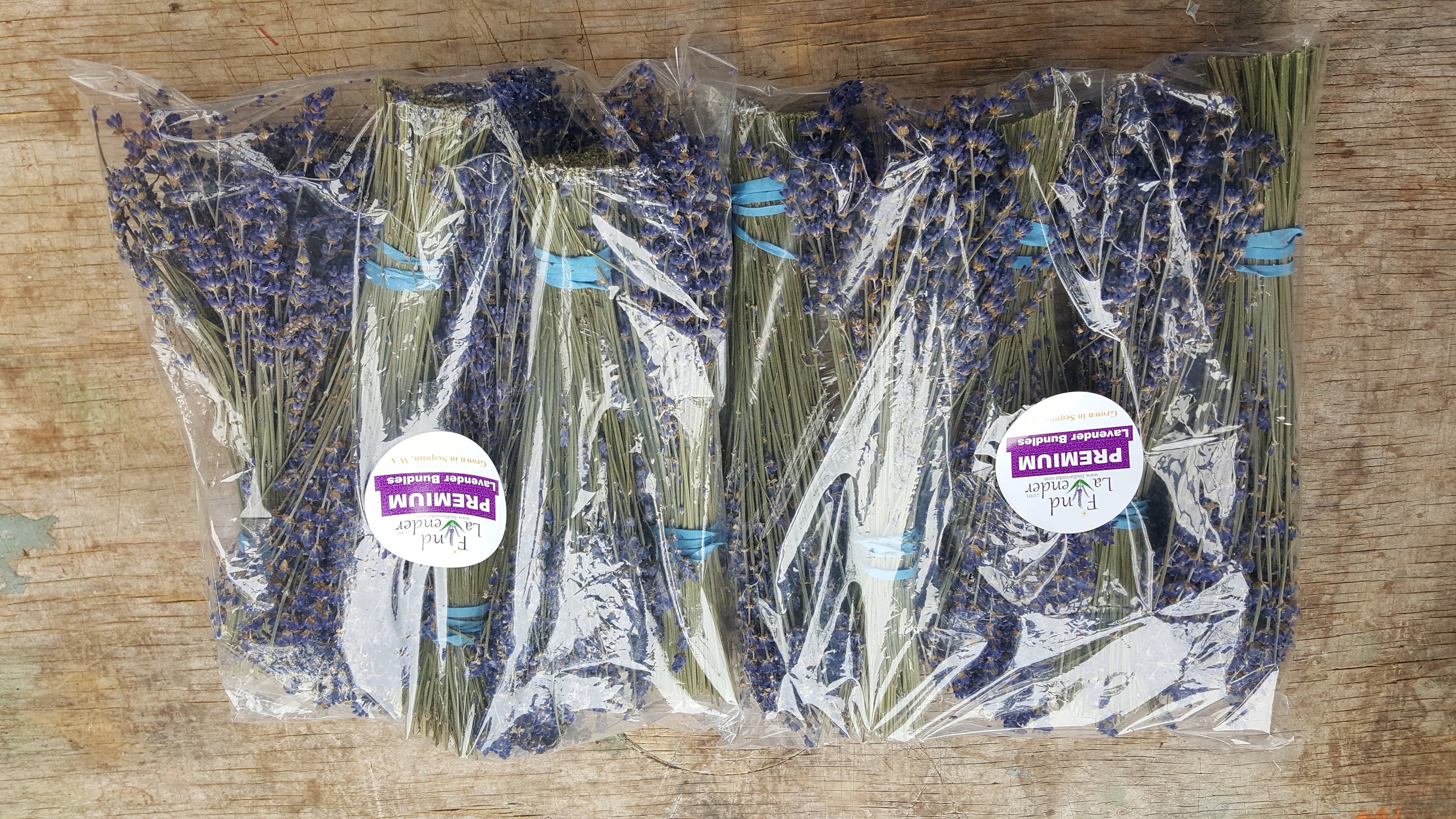Lavender Small Dried Bundles 8" to 10" - Pack of 10 Findlavender.com