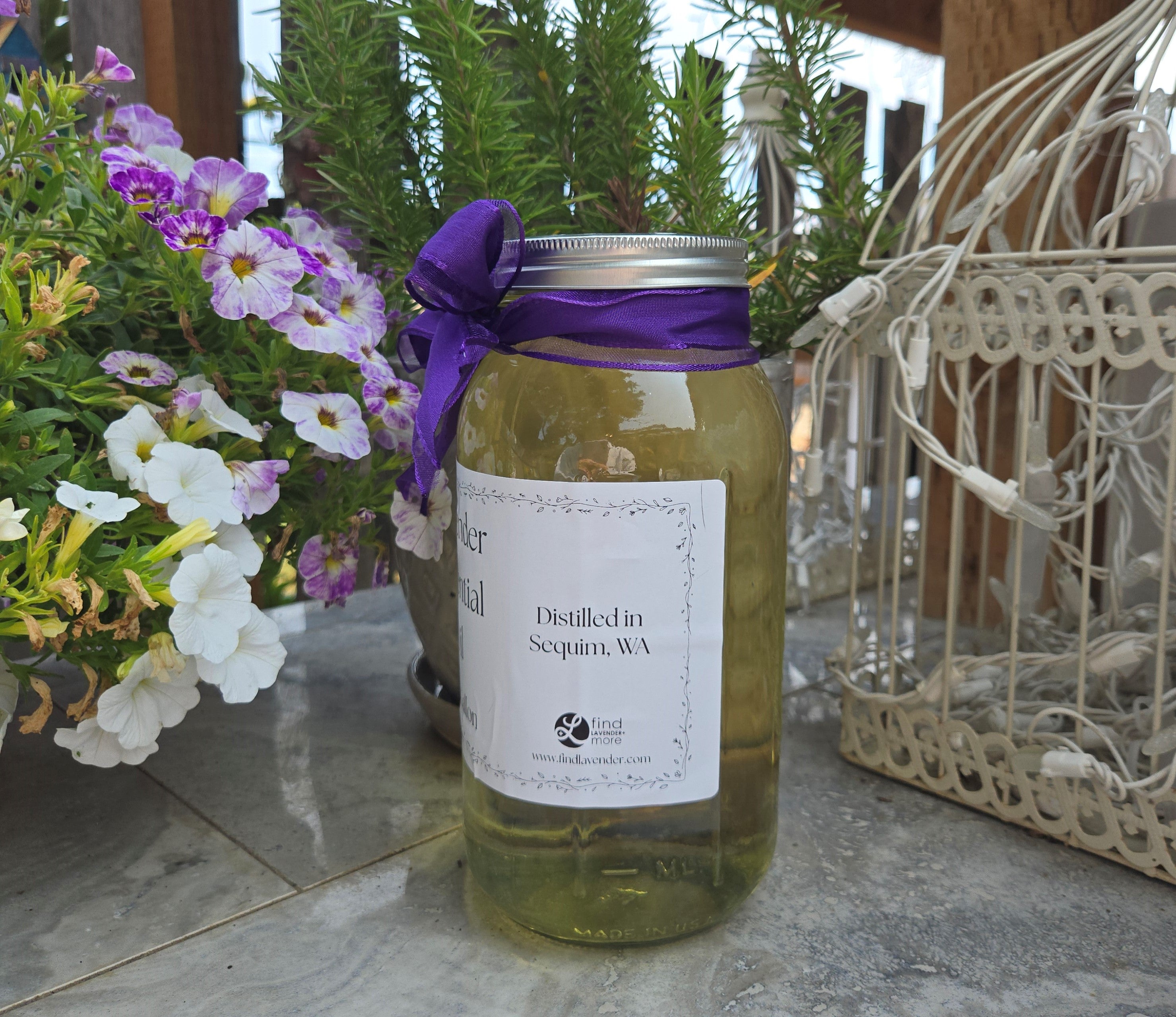 Lavender Essential Oil – 1/2 Gallon, Locally Sourced in WA Findlavender.com