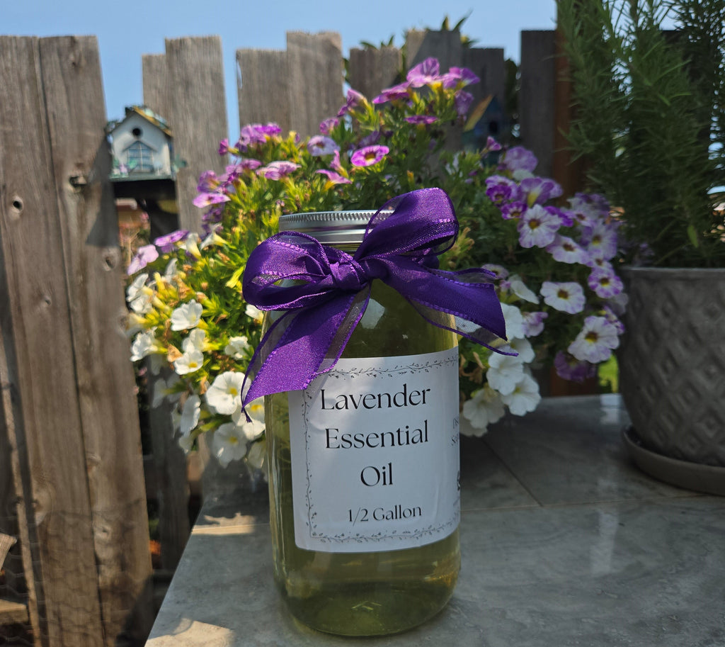 Lavender Essential Oil – 1/2 Gallon, Locally Sourced in WA Findlavender.com