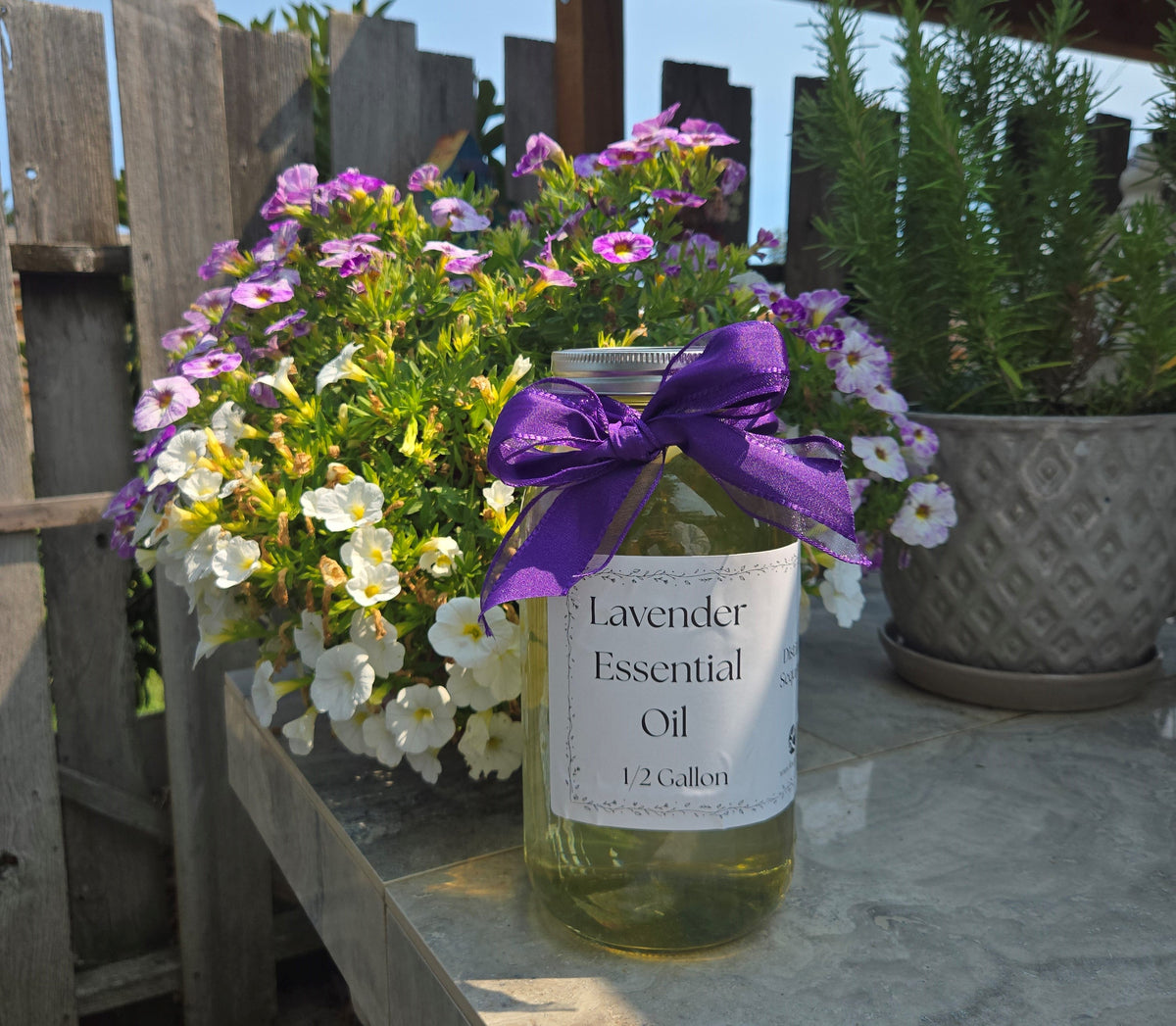 Lavender Essential Oil – 1/2 Gallon, Locally Sourced in WA Findlavender.com