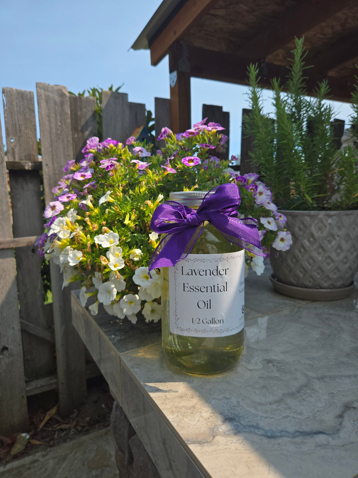 Lavender Essential Oil – 1/2 Gallon, Locally Sourced in WA Findlavender.com