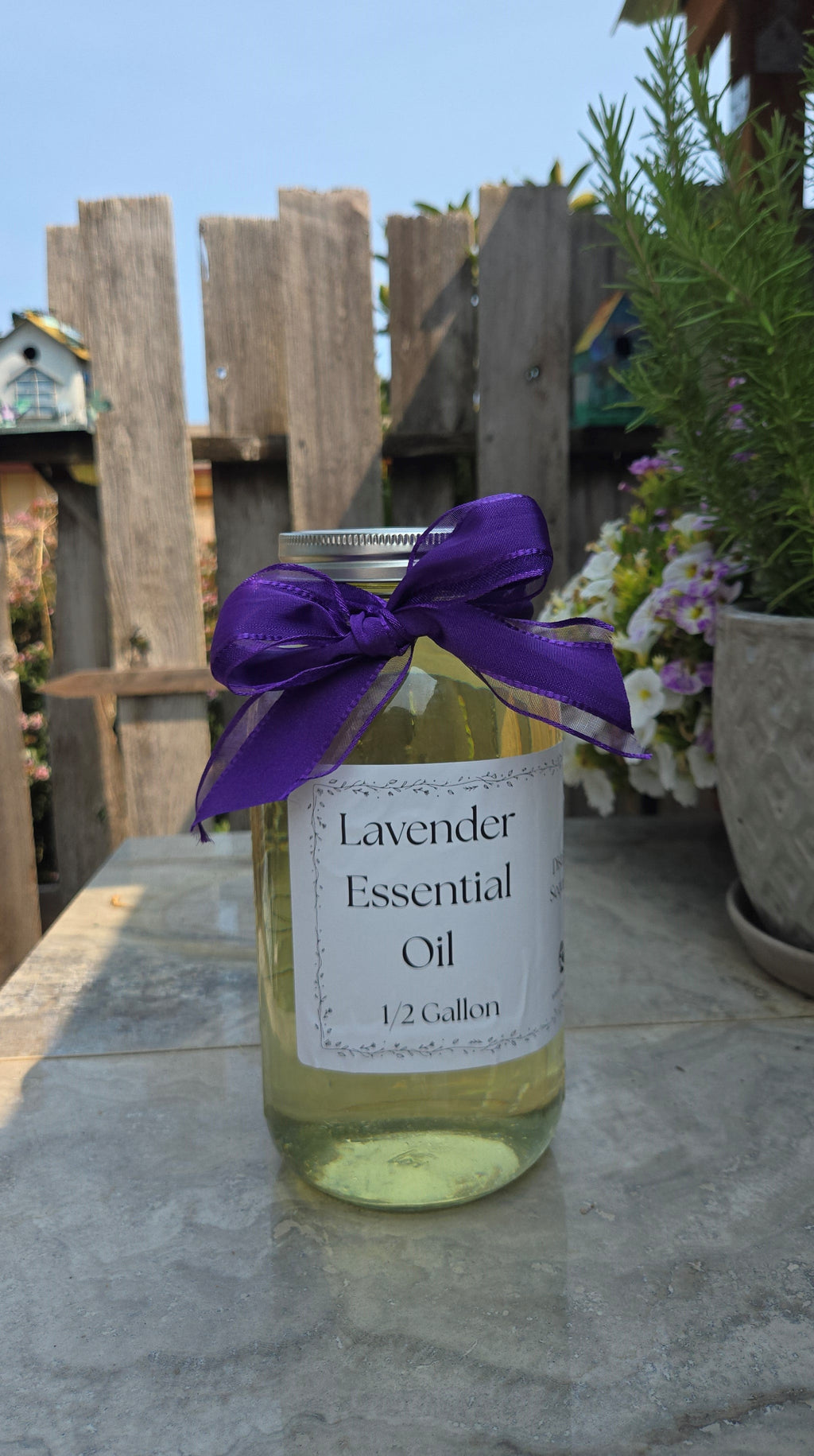 Lavender Essential Oil – 1/2 Gallon, Locally Sourced in WA Findlavender.com