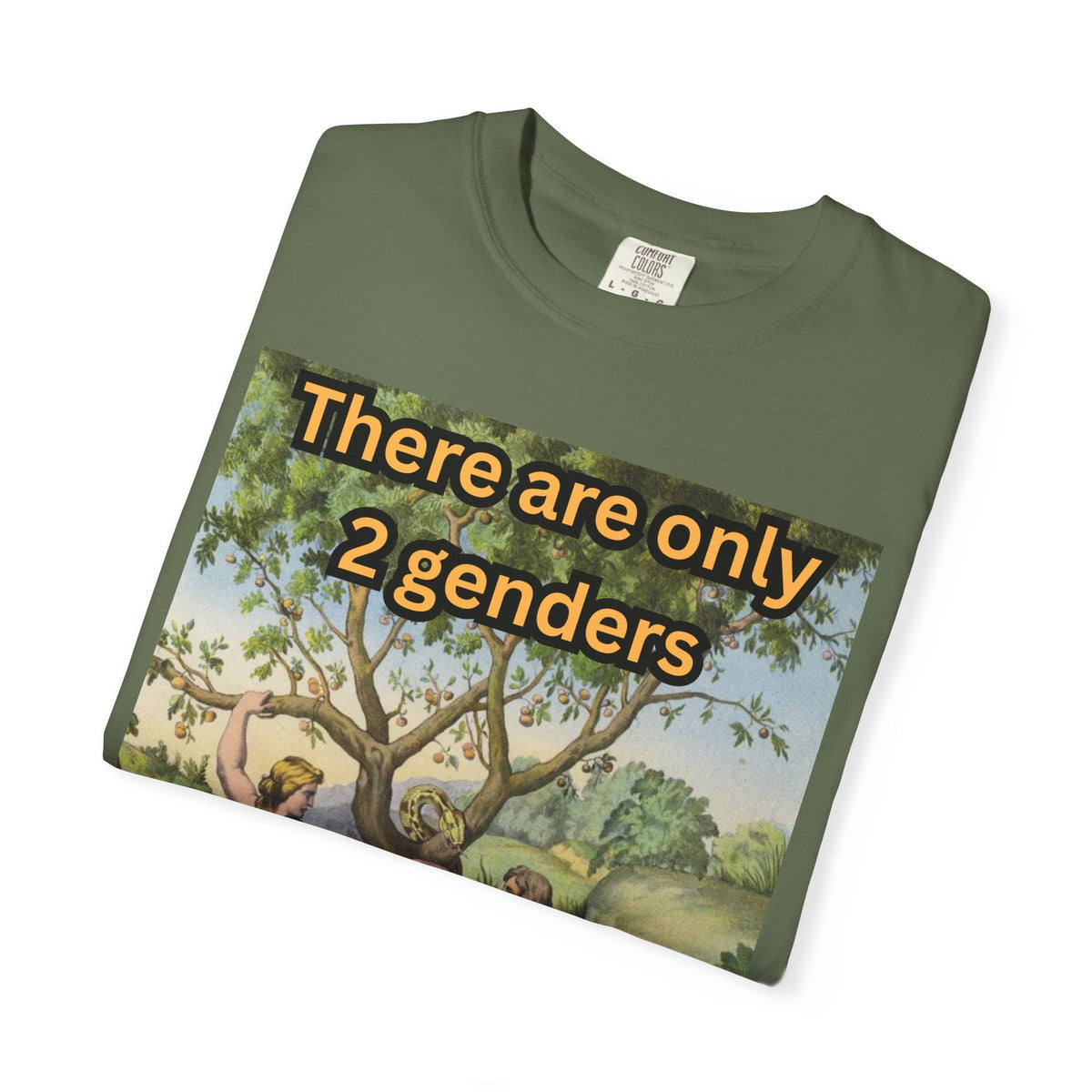There Are Only 2 Genders T-Shirt – Adam & Eve Cross Christian Tee for Bold Faith Printify