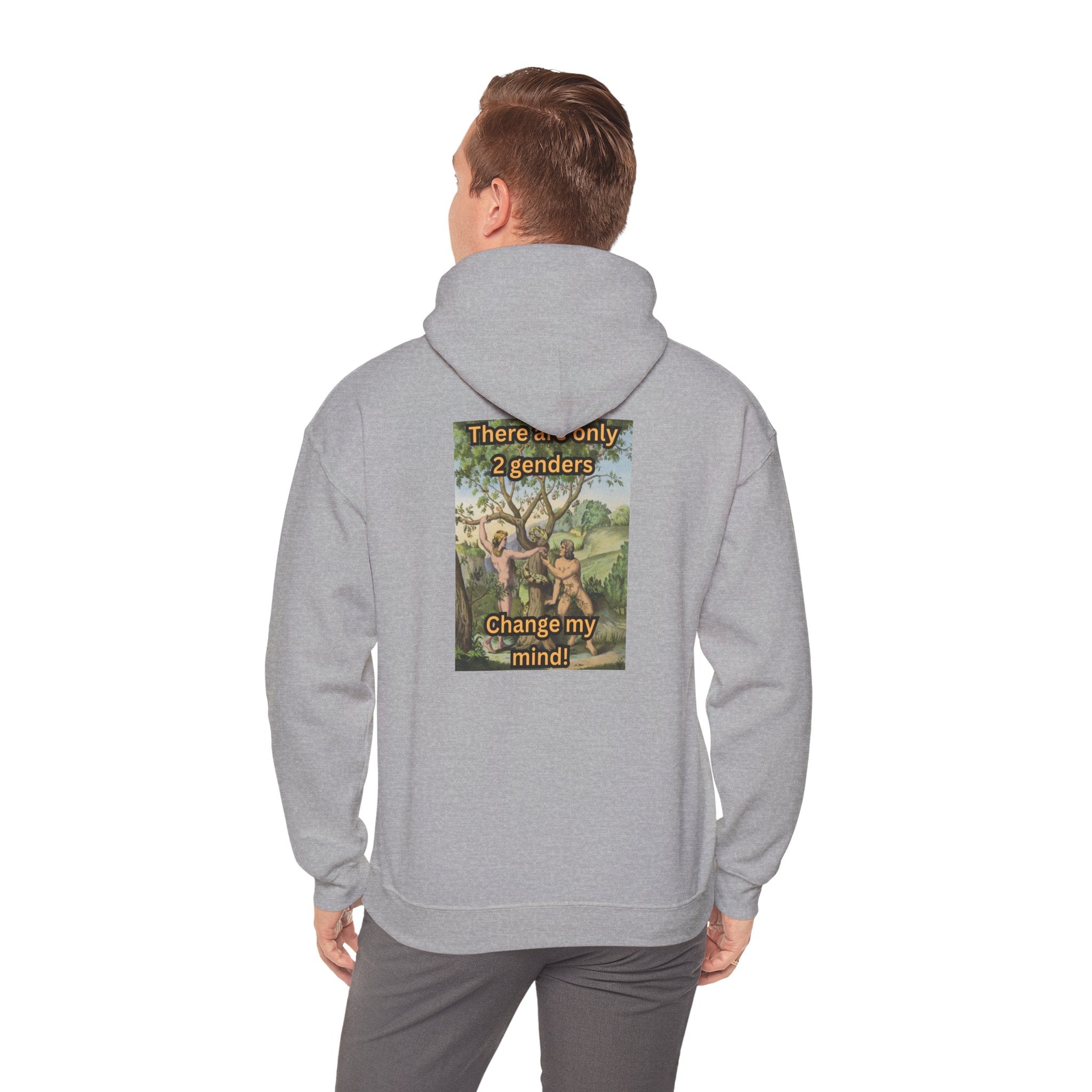 There Are Only 2 Genders Hoodie – Adam & Eve Cross Christian Hoodie for Bold Truth Printify