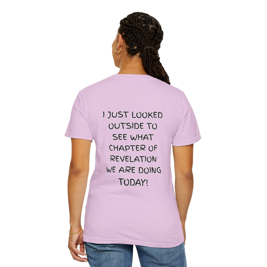 What Chapter of Revelation T-shirt – I Looked Outside My Window Christian T-shirt for End Times Humor & Faith Printify