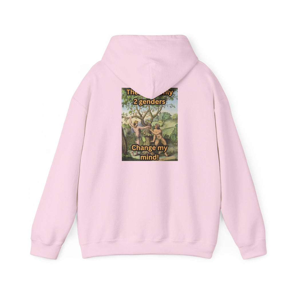 There Are Only 2 Genders Hoodie – Adam & Eve Cross Christian Hoodie for Bold Truth Printify