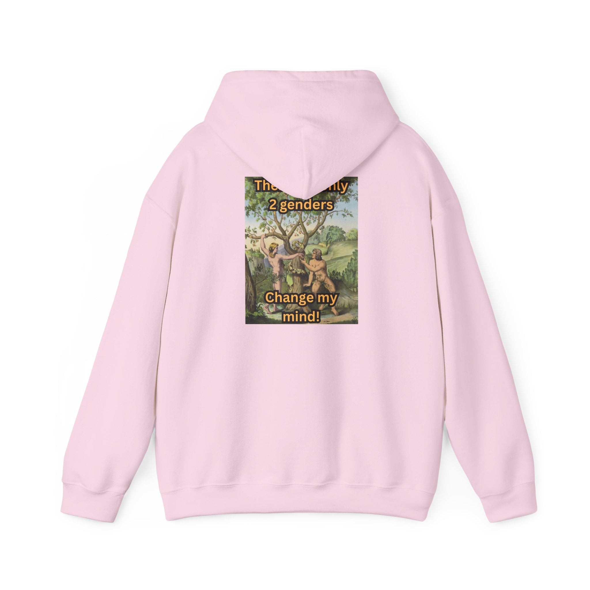 There Are Only 2 Genders Hoodie – Adam & Eve Cross Christian Hoodie for Bold Truth Printify