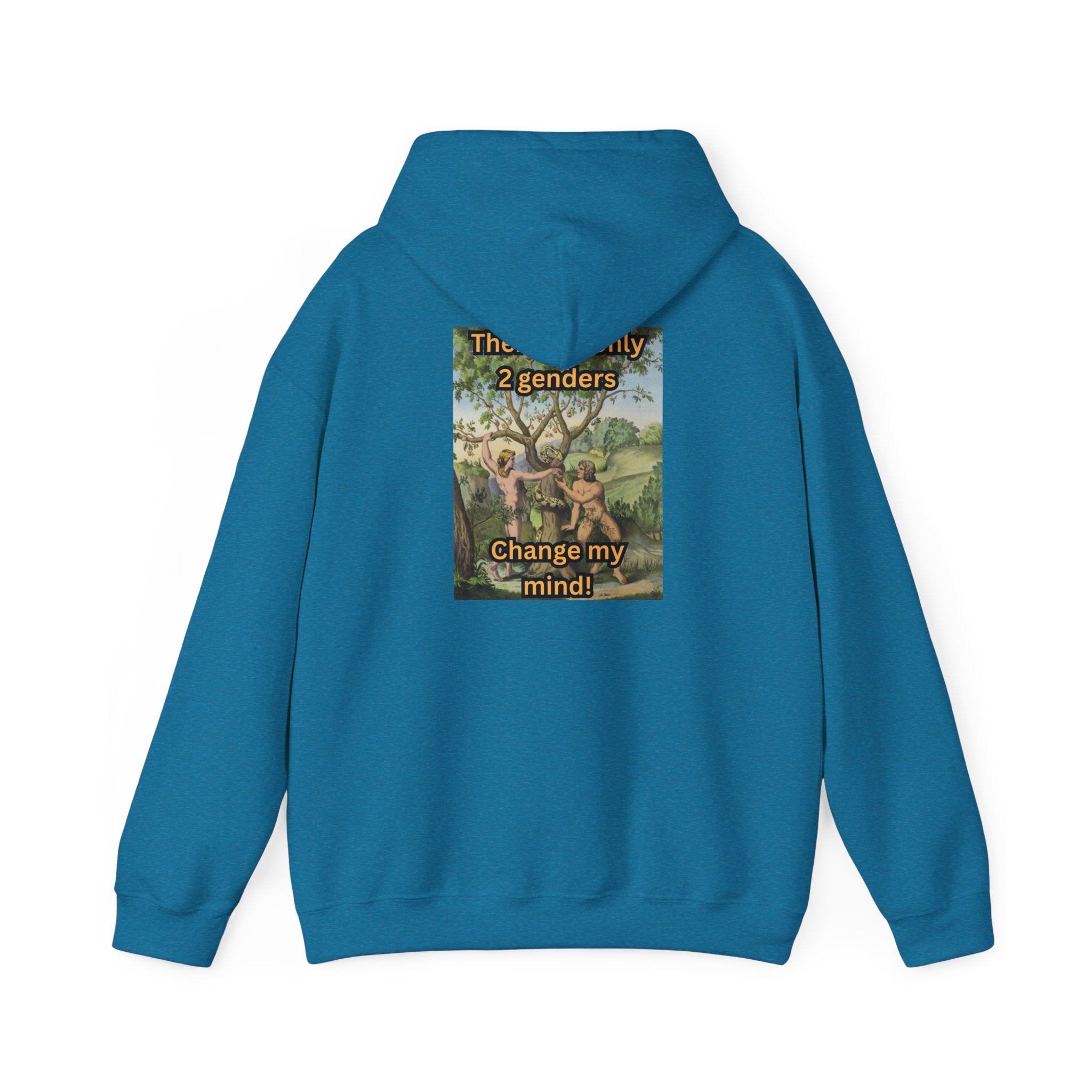 There Are Only 2 Genders Hoodie – Adam & Eve Cross Christian Hoodie for Bold Truth Printify