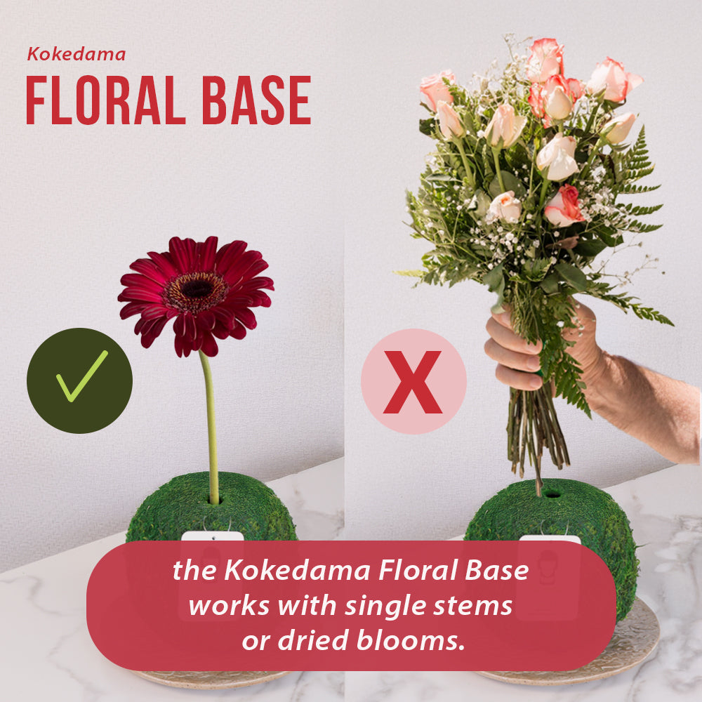 Natural MOSS 4.5" Kokedama Floral Base - Perfect for Single Stems, Fresh Flowers, Dried Blooms, and Minimalist Home Decor Kazumi Garden